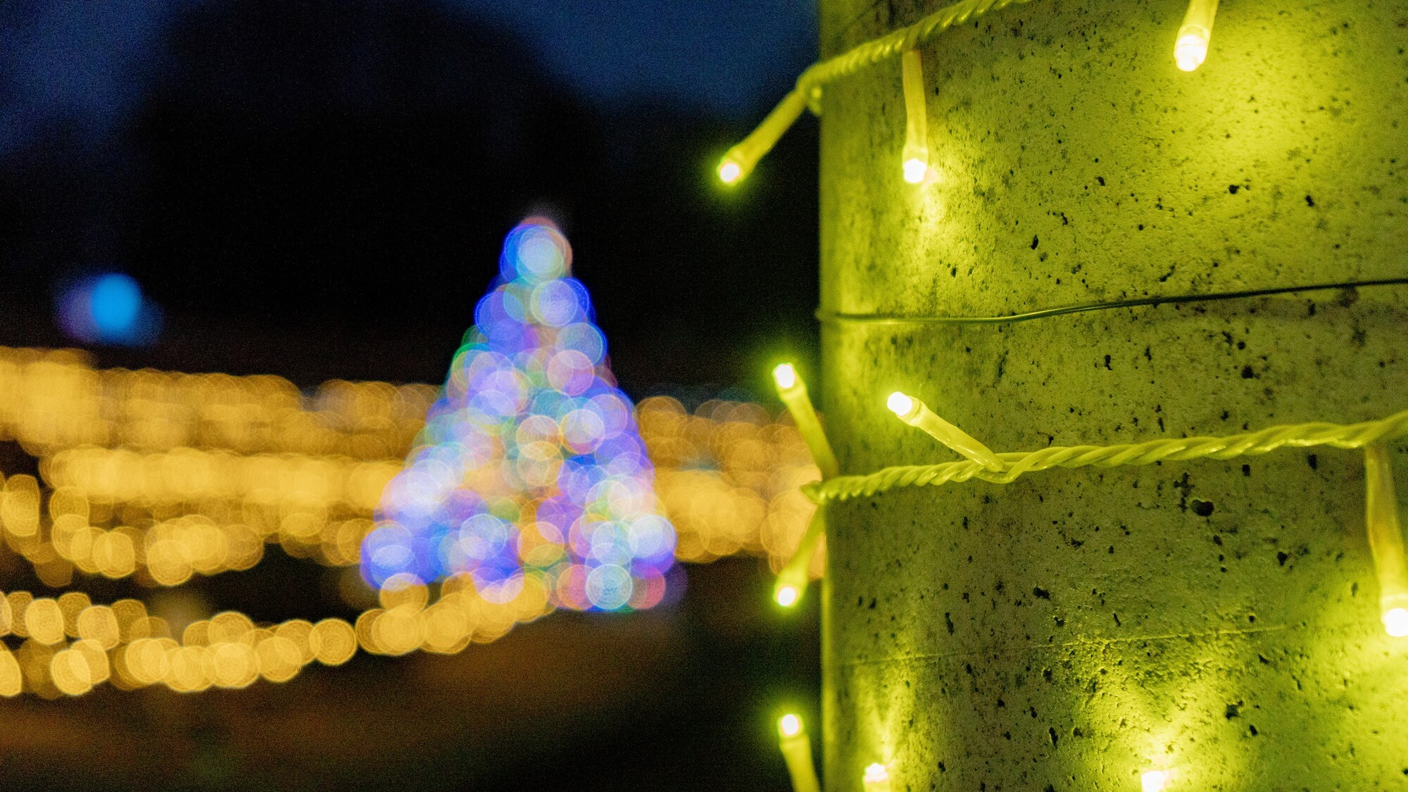 ぐんまフラワーパークプラス