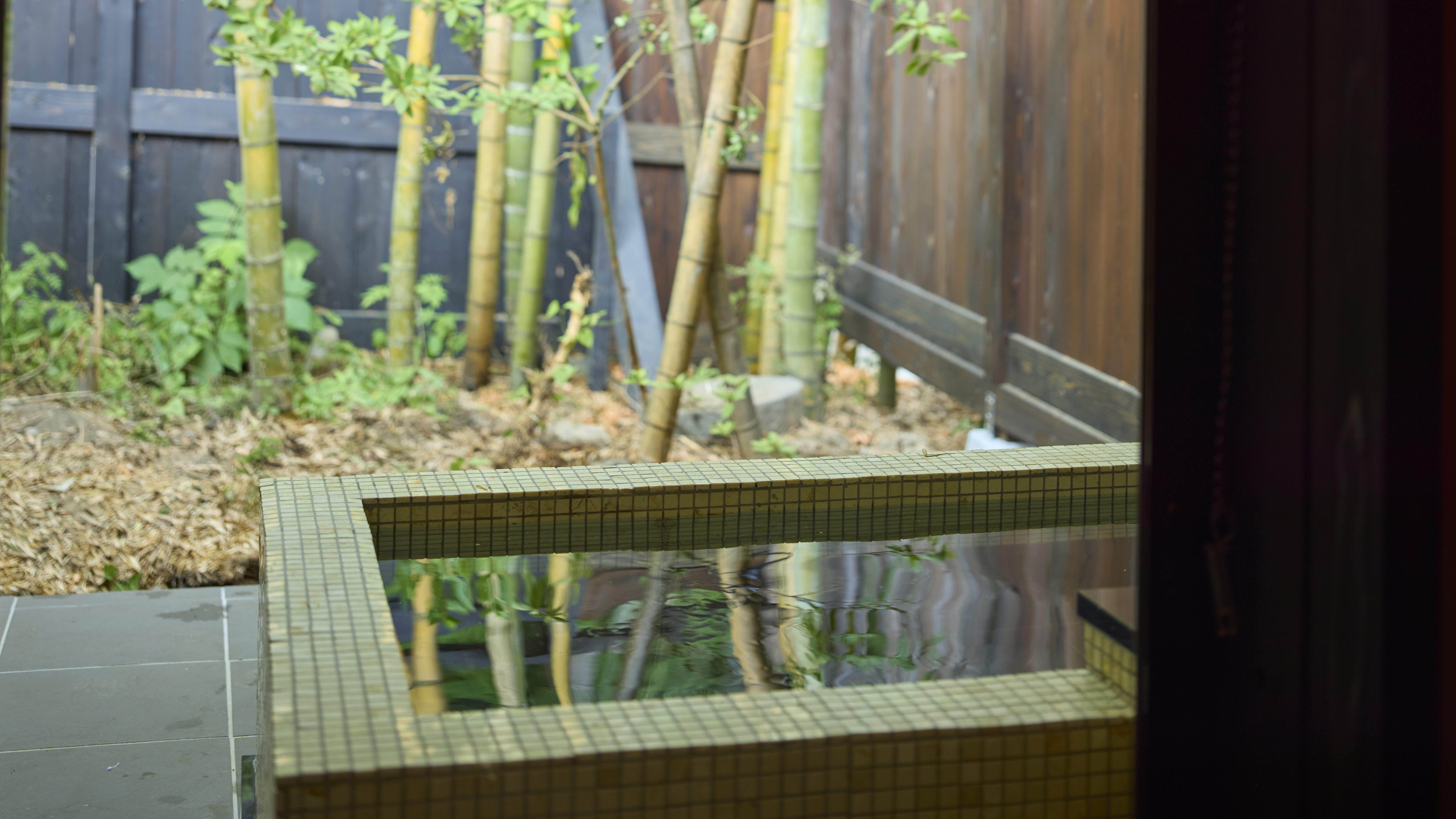 半露天・愛犬バス・ドッグラン付【デラックス和室】お部屋で温泉を楽しめます