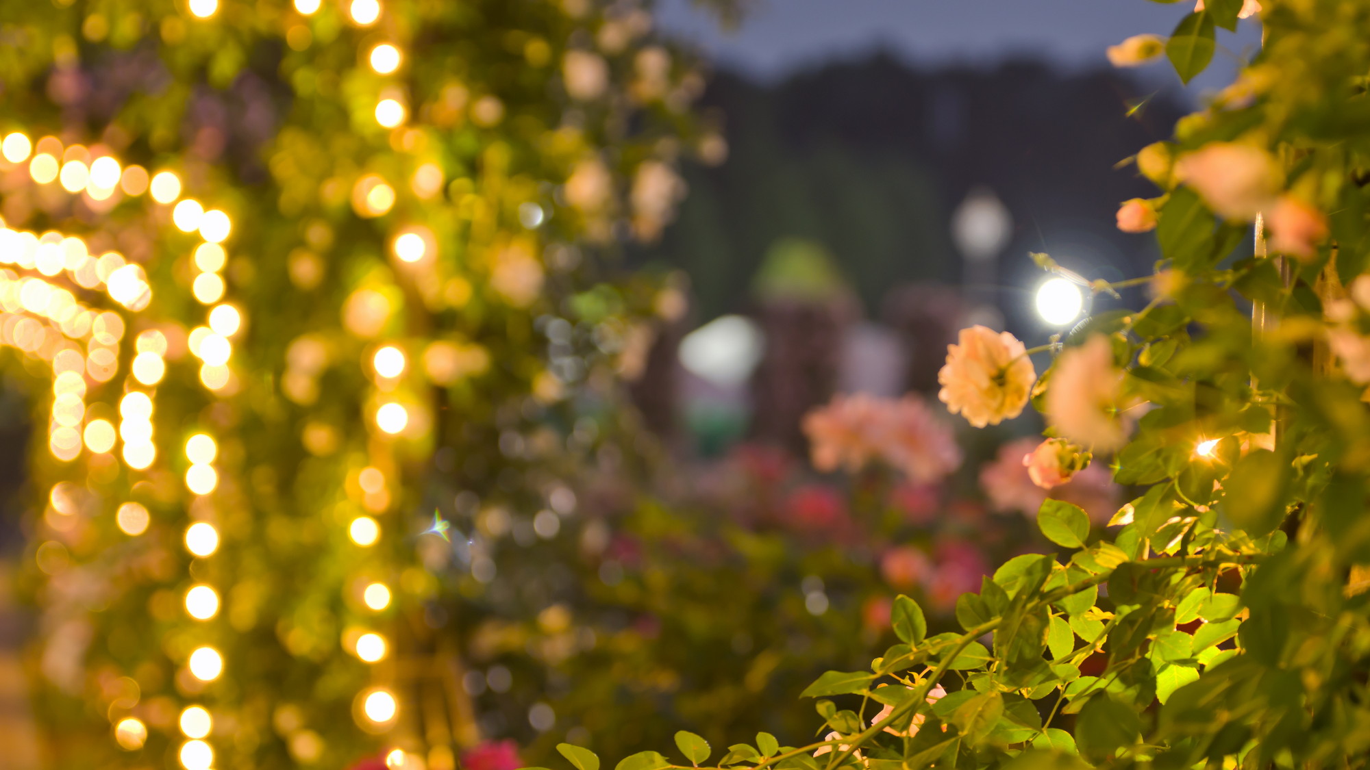 ぐんまフラワーパークプラス