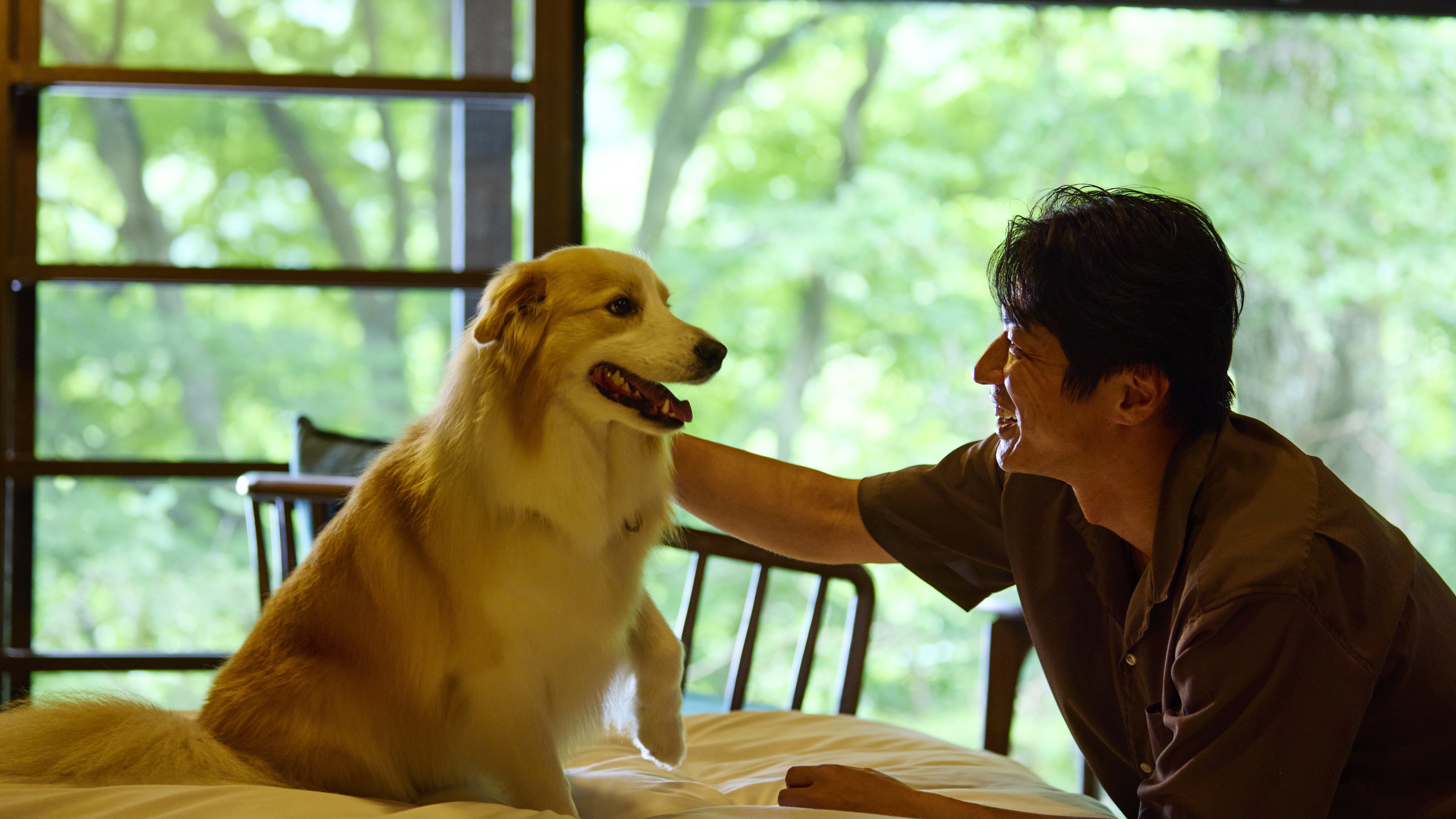 マナーパンツ着用でベッドでもおくつろぎいただけます