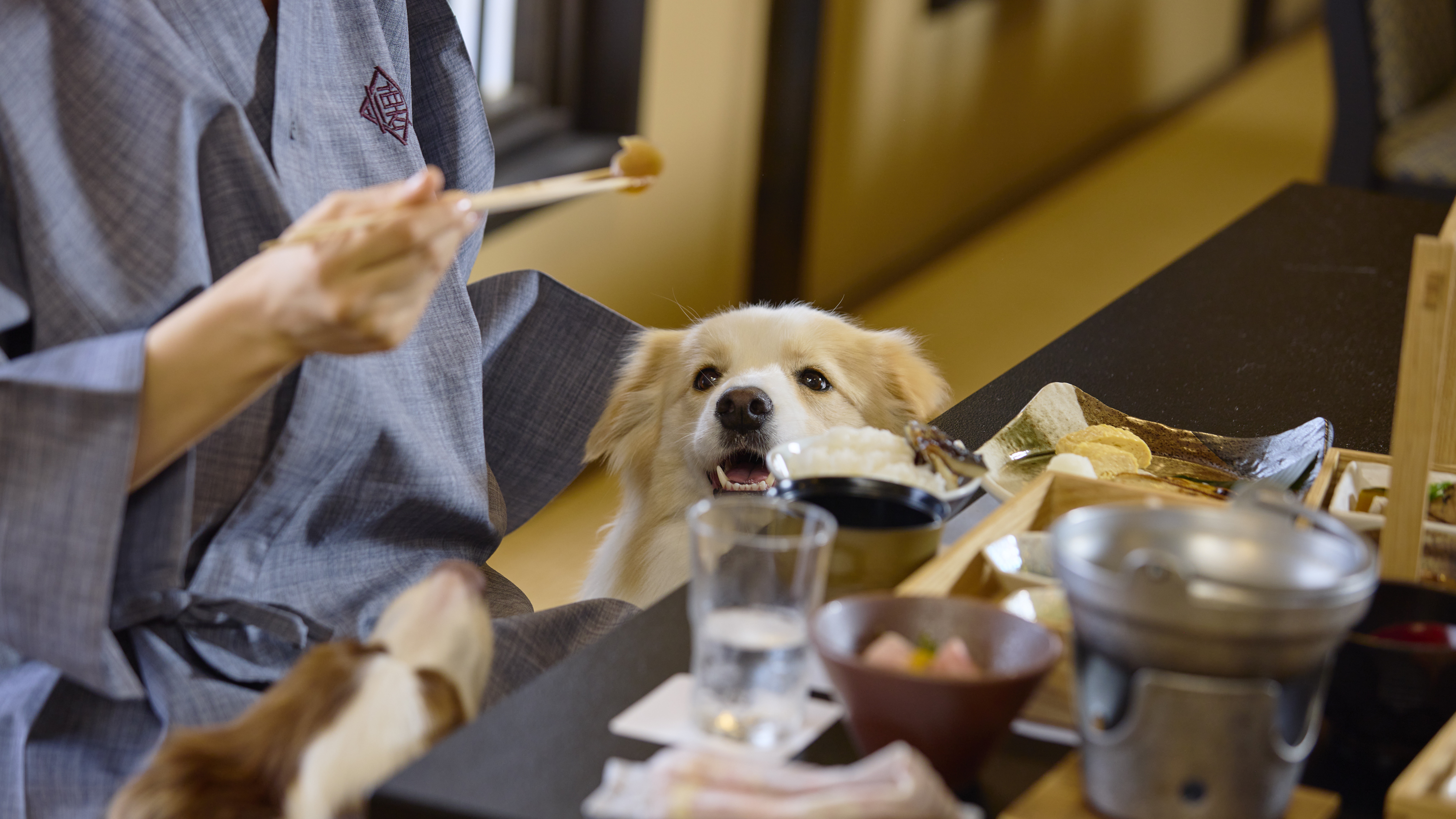 お食事処でもわんちゃんと一緒にお過ごしいただけます