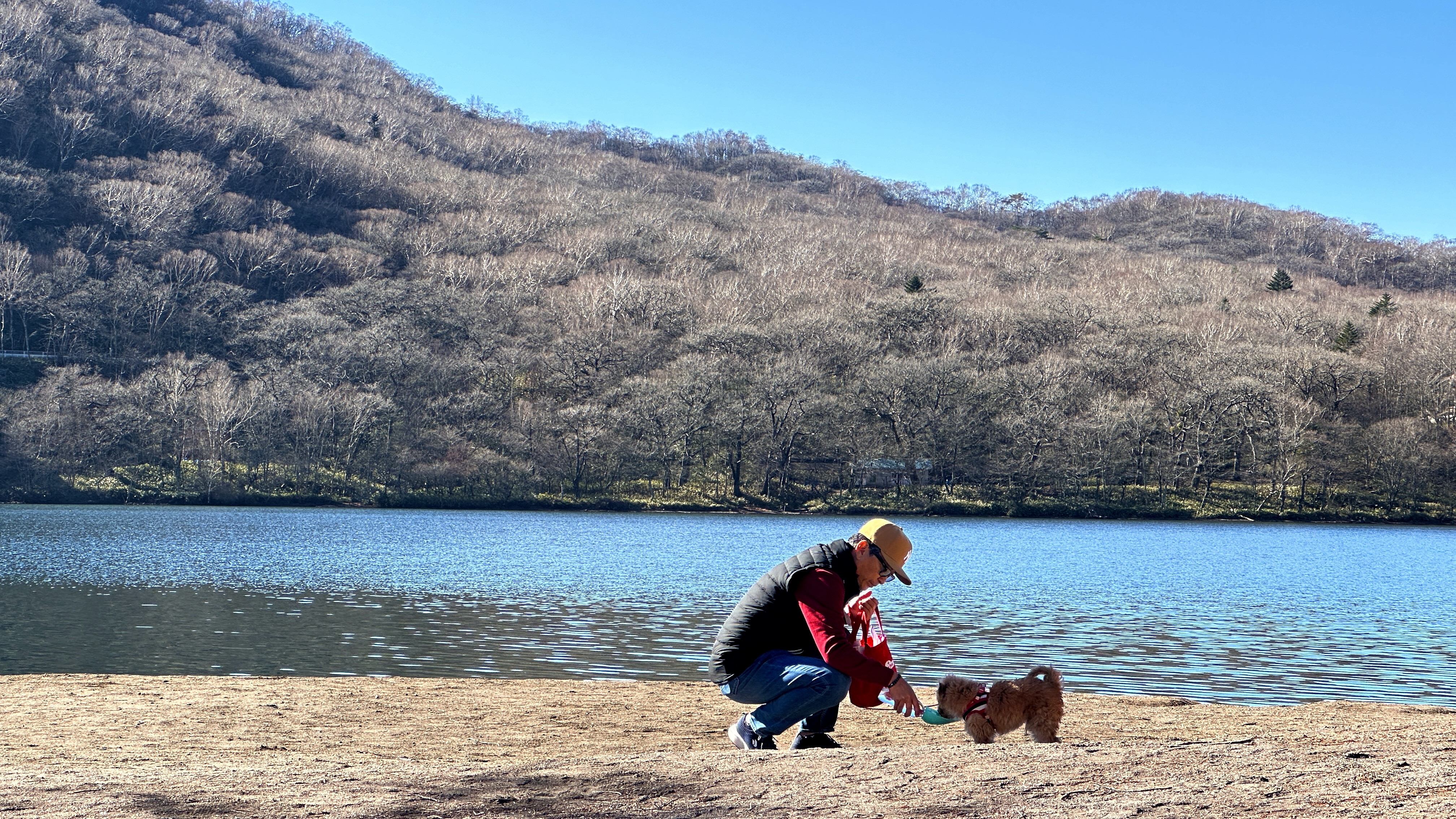 わんちゃんとのお散歩を楽しめます