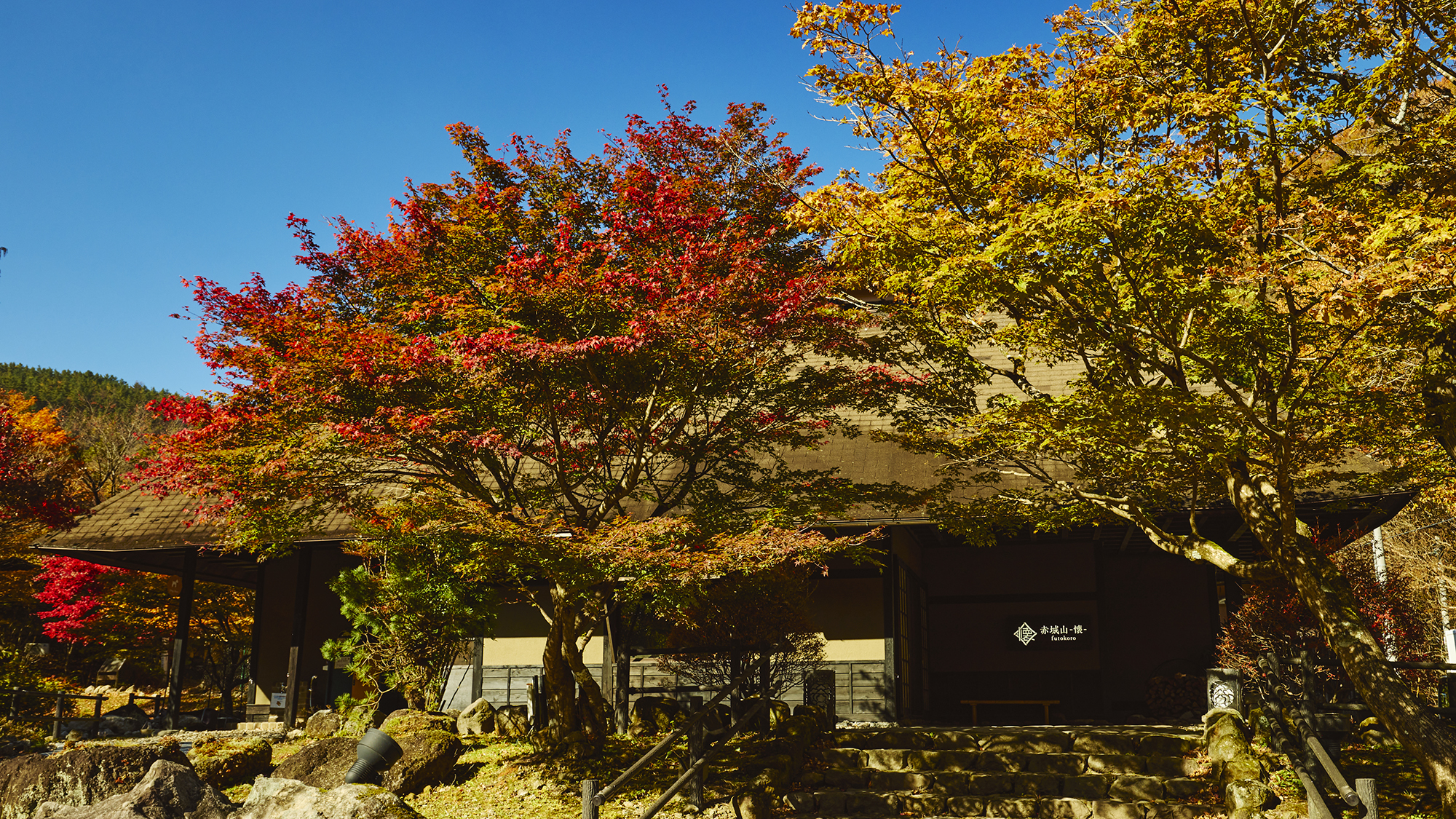 紅葉に染まる建物