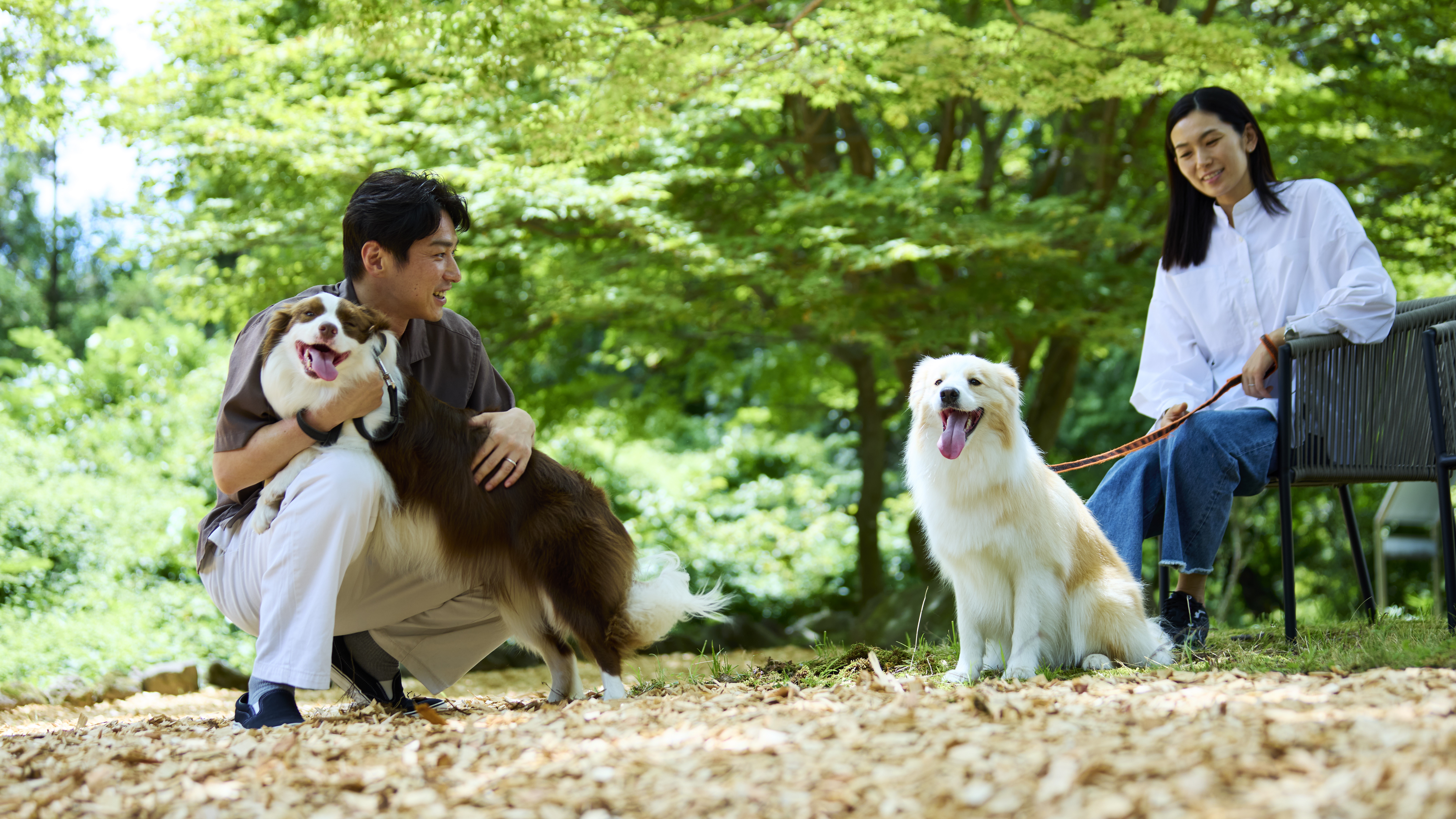 自然に囲まれゆったりとお過ごしいただけます