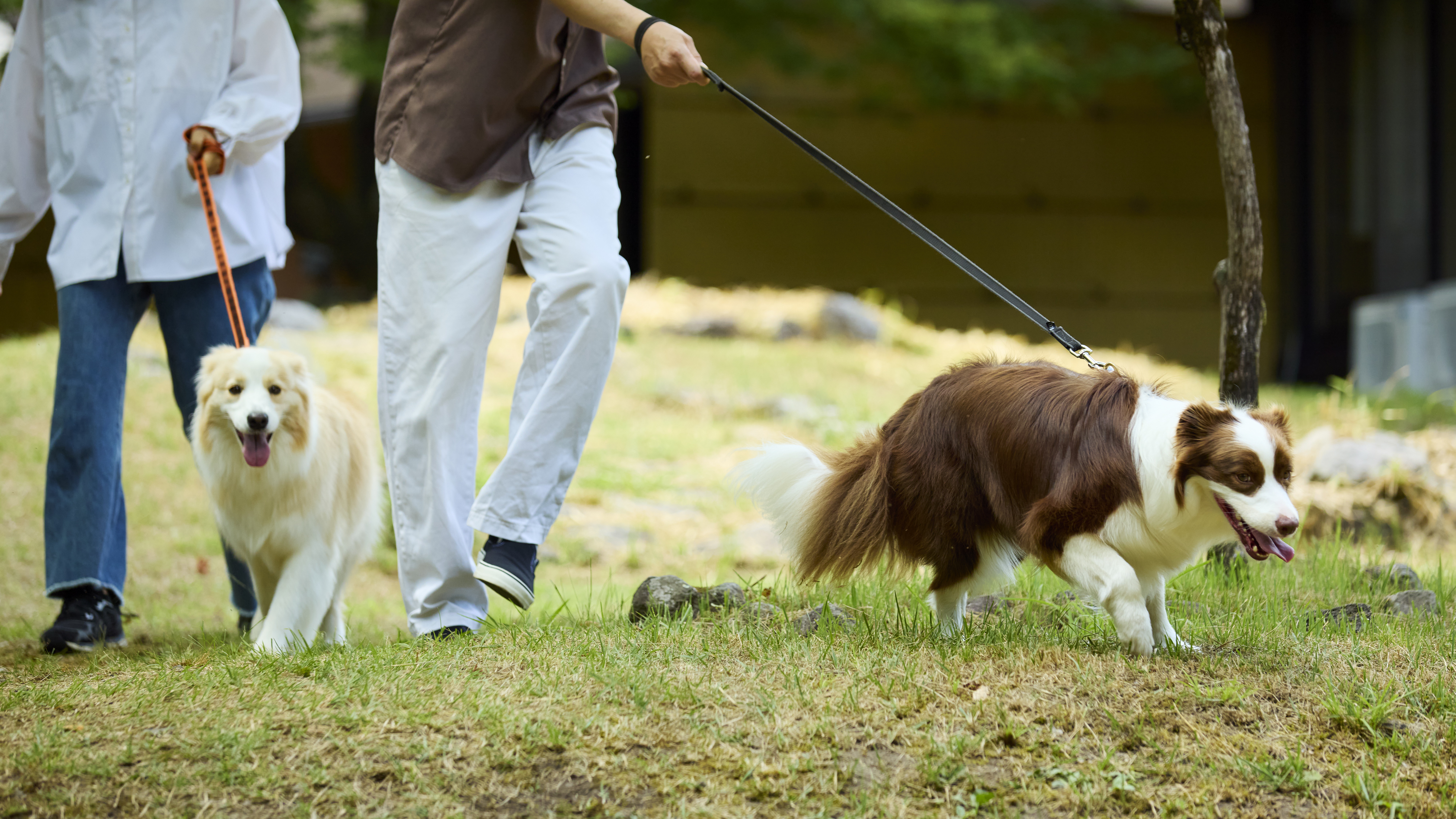 中庭でのお散歩