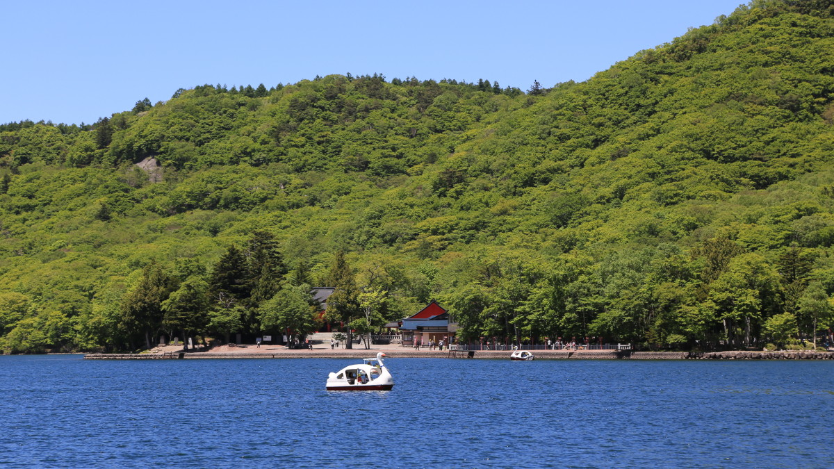 【大沼湖畔】車 約40分