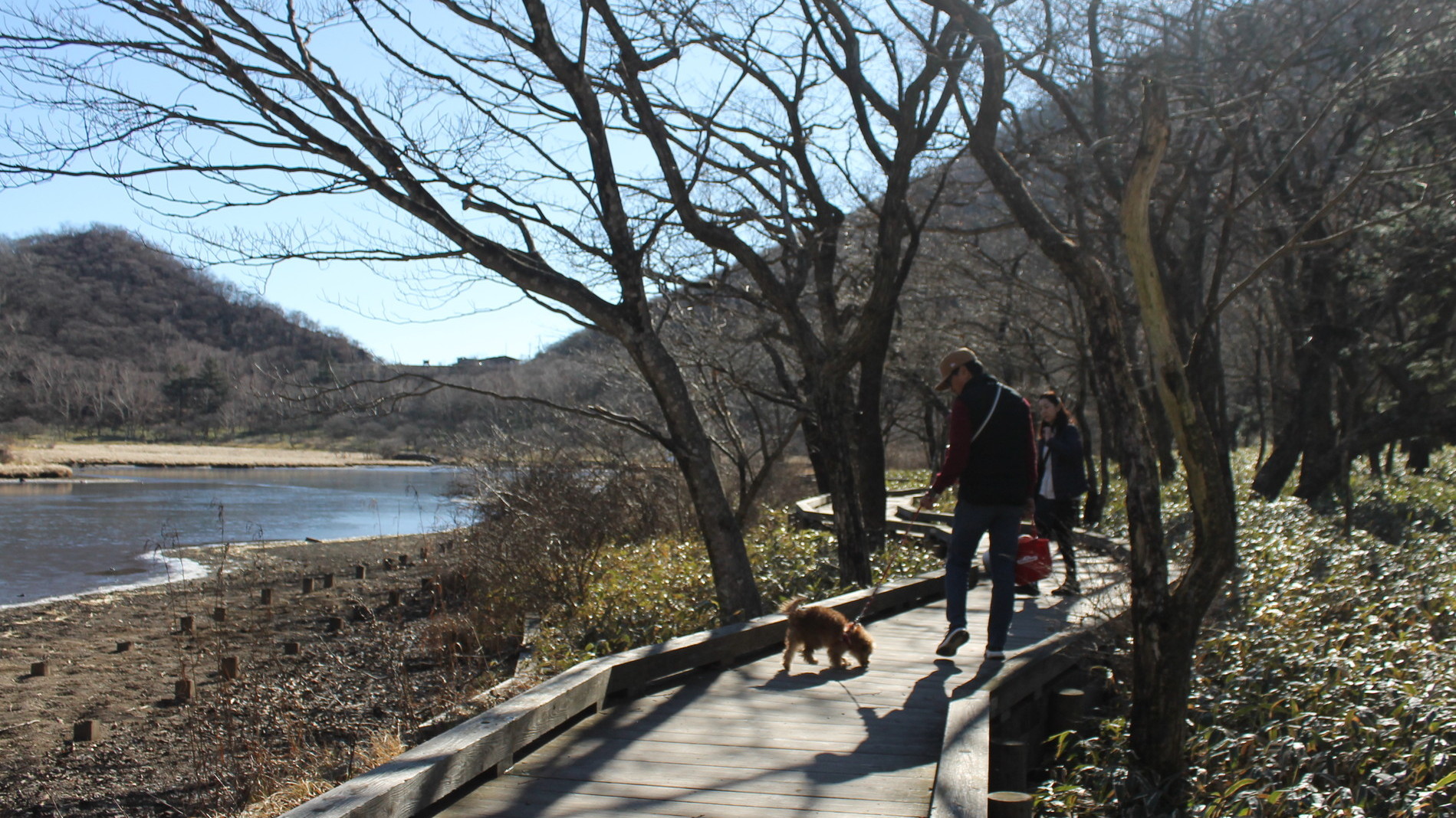 遊歩道はお散歩にぴったり