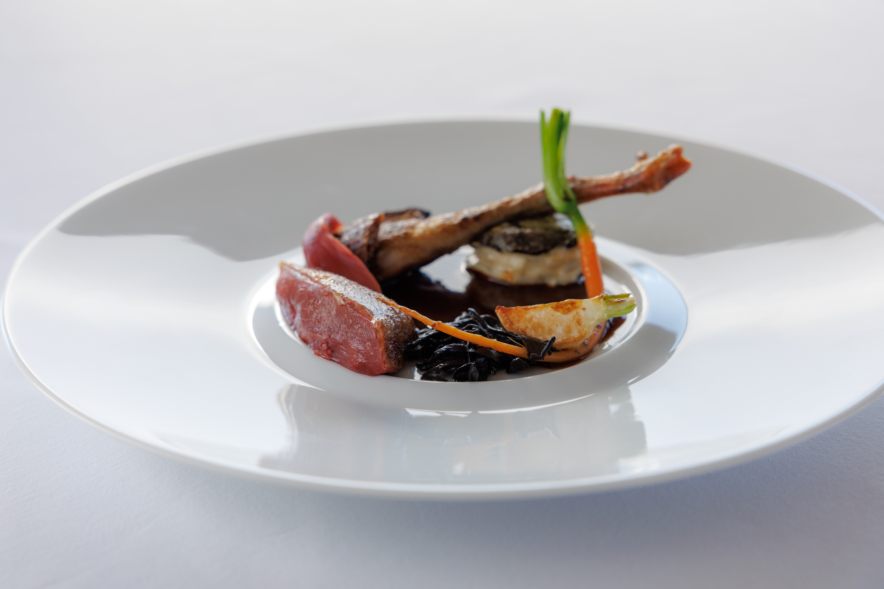 【11月6日～12月19日　初冬コース】 メイン