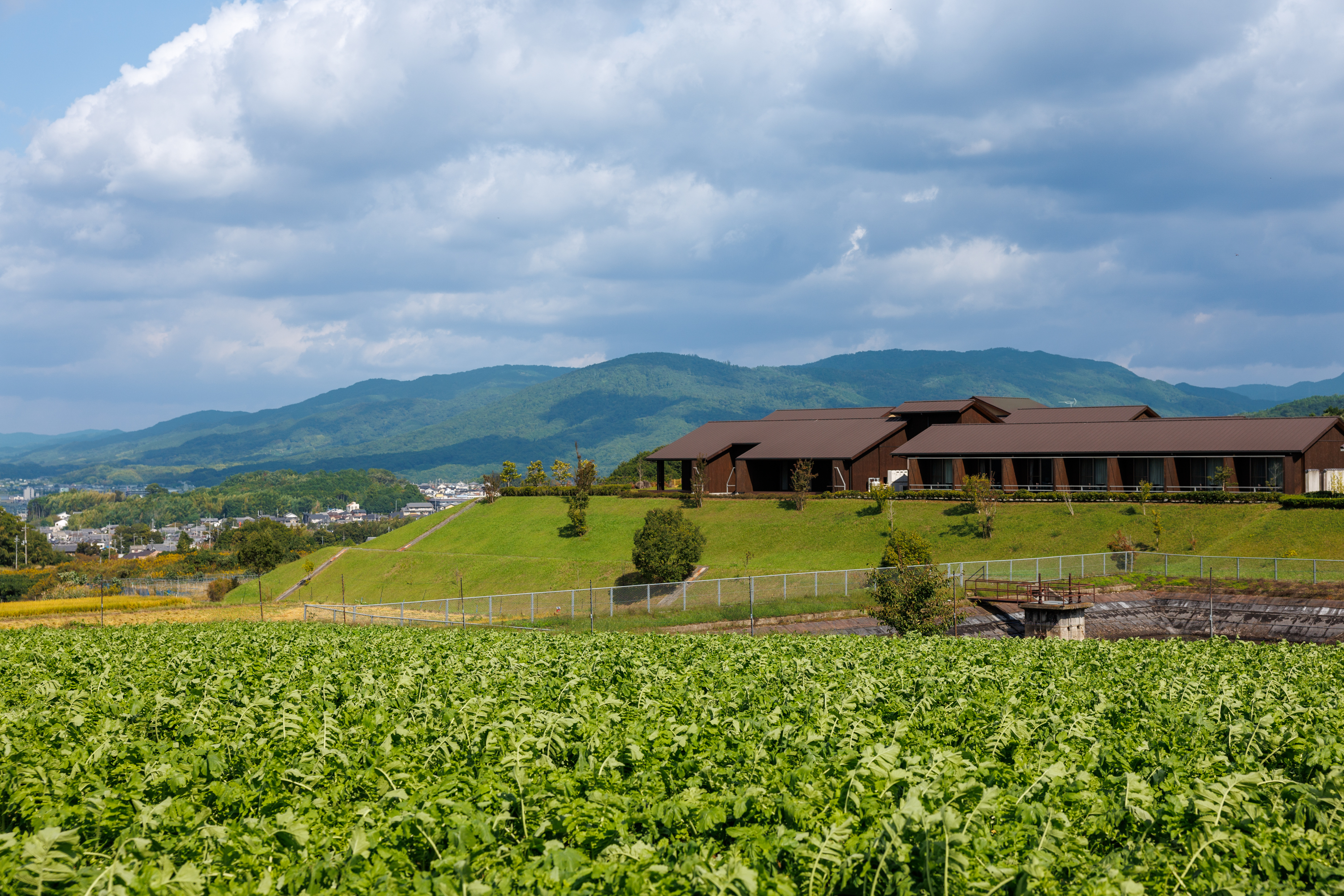 周辺風景とサンヴィ