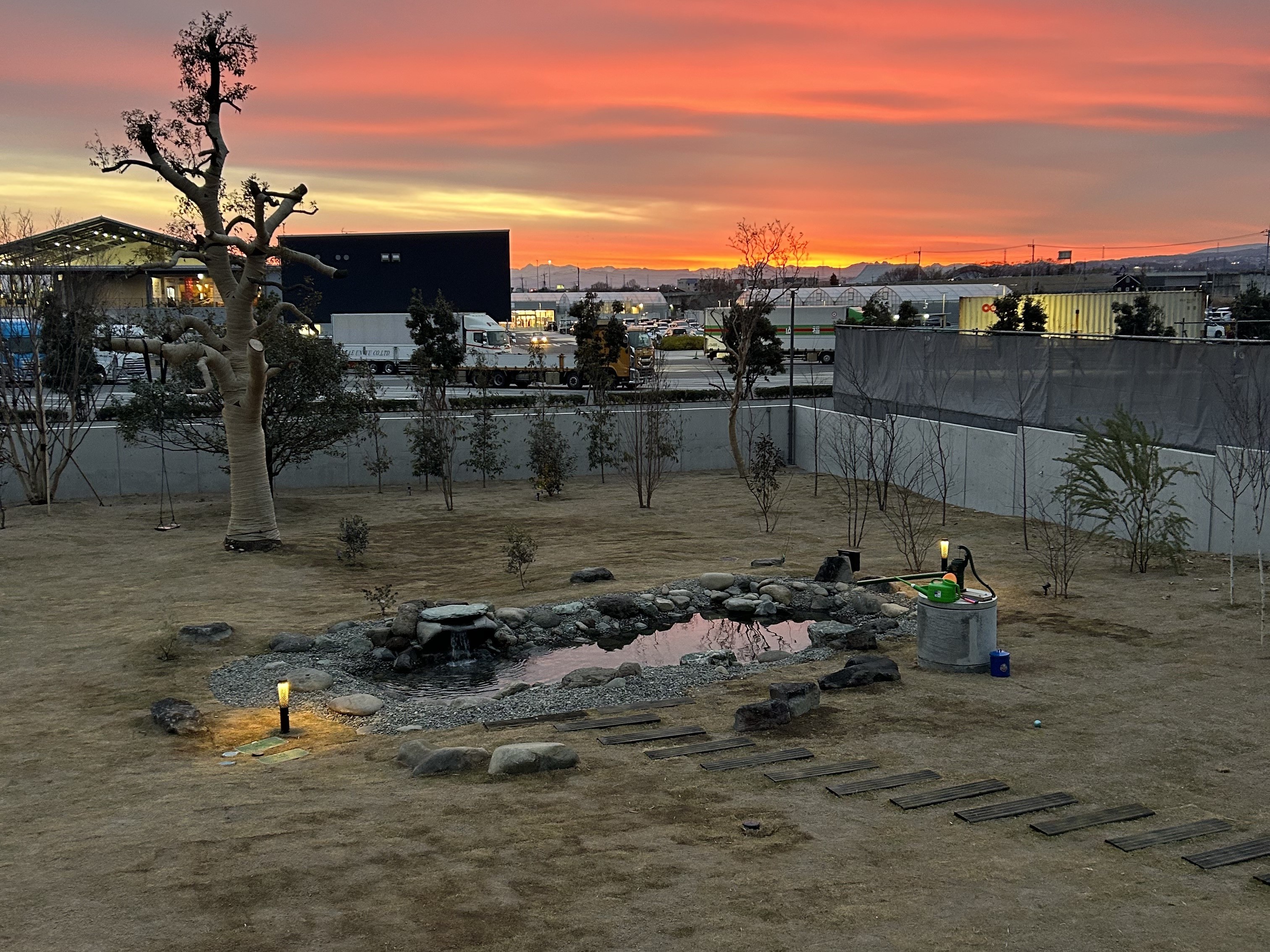 夕日