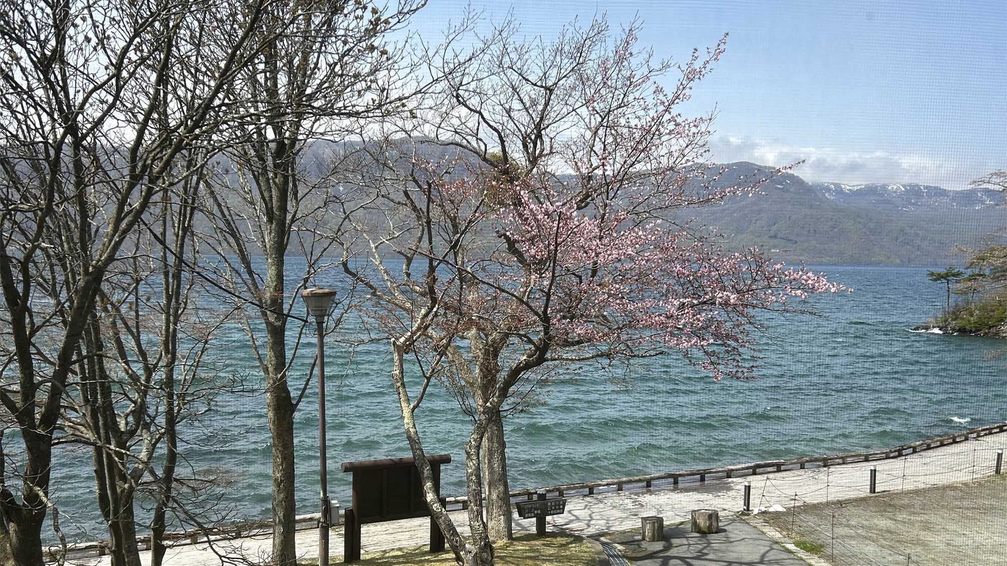 ・【景色】十和田湖畔が目の前で、紅葉シーズン、湖水祭りの時期でも安心のゲストハウス