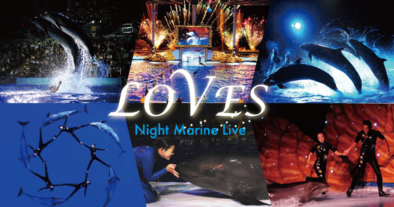ナイトマリンライブ（アドベンチャーワールド）