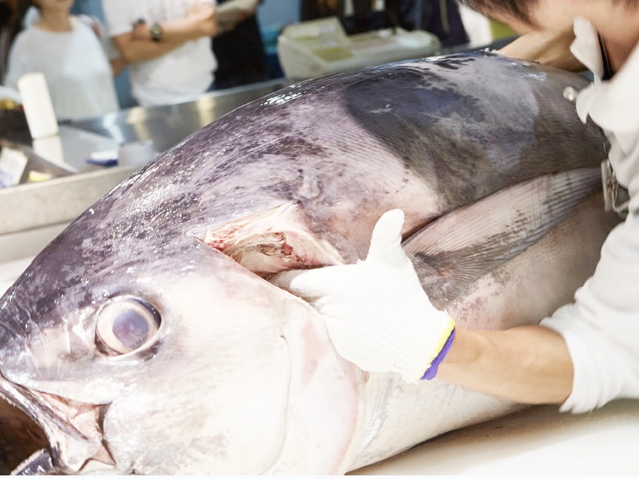 まぐろの解体ショー（とれとれ市場内）（車7分）