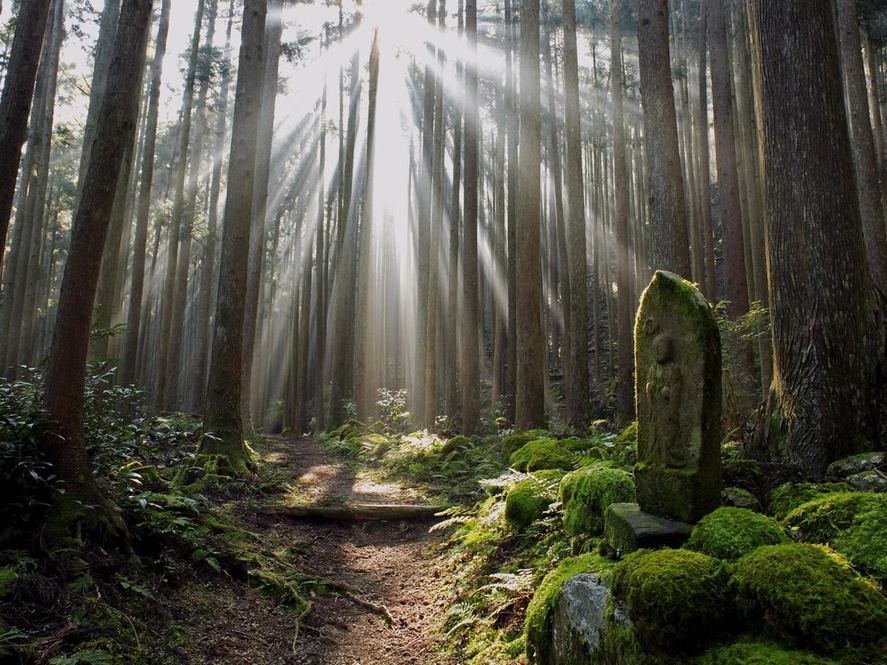 熊野古道（車1時間20分）