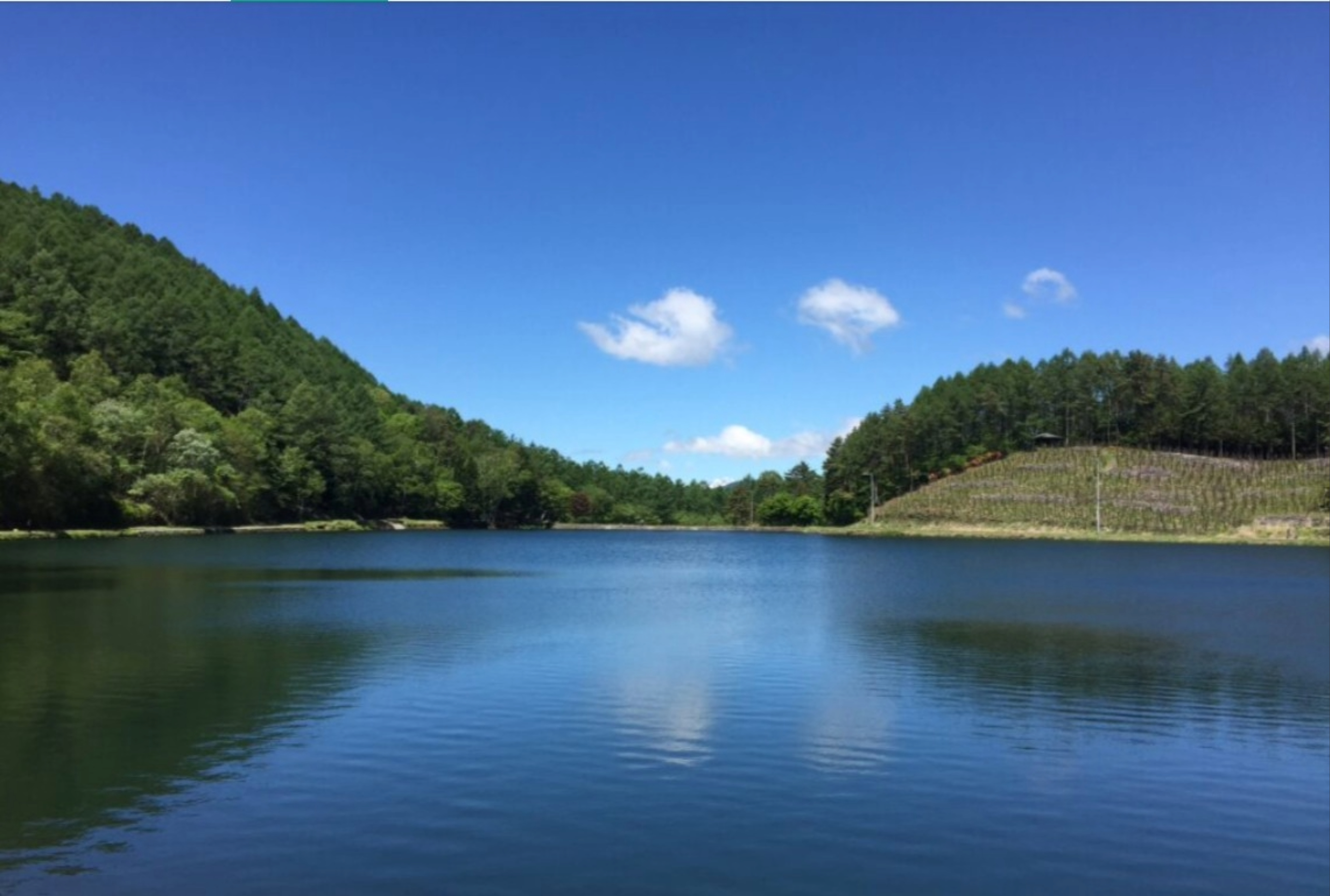 大見山展望台の夏の風景