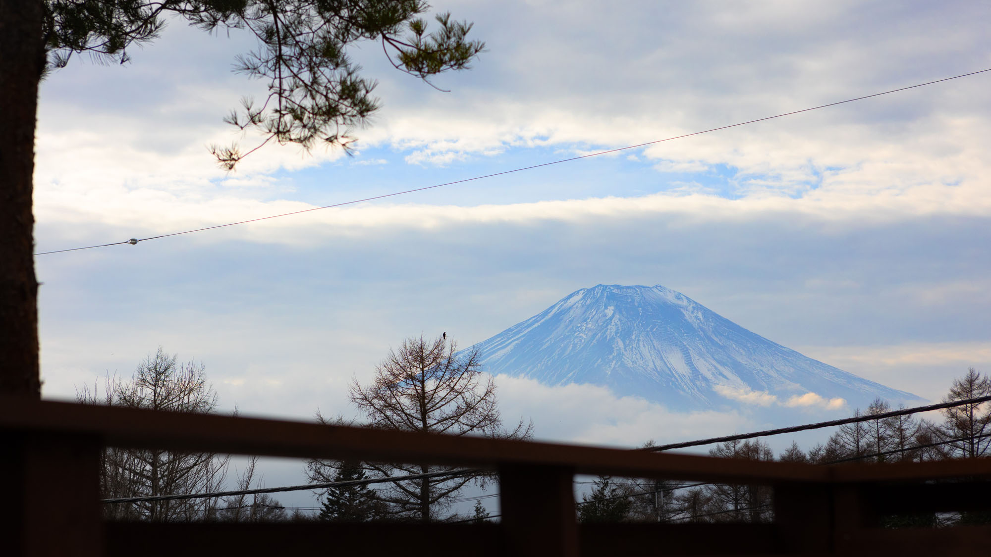 [OAK]Mt.FUJI VIEW