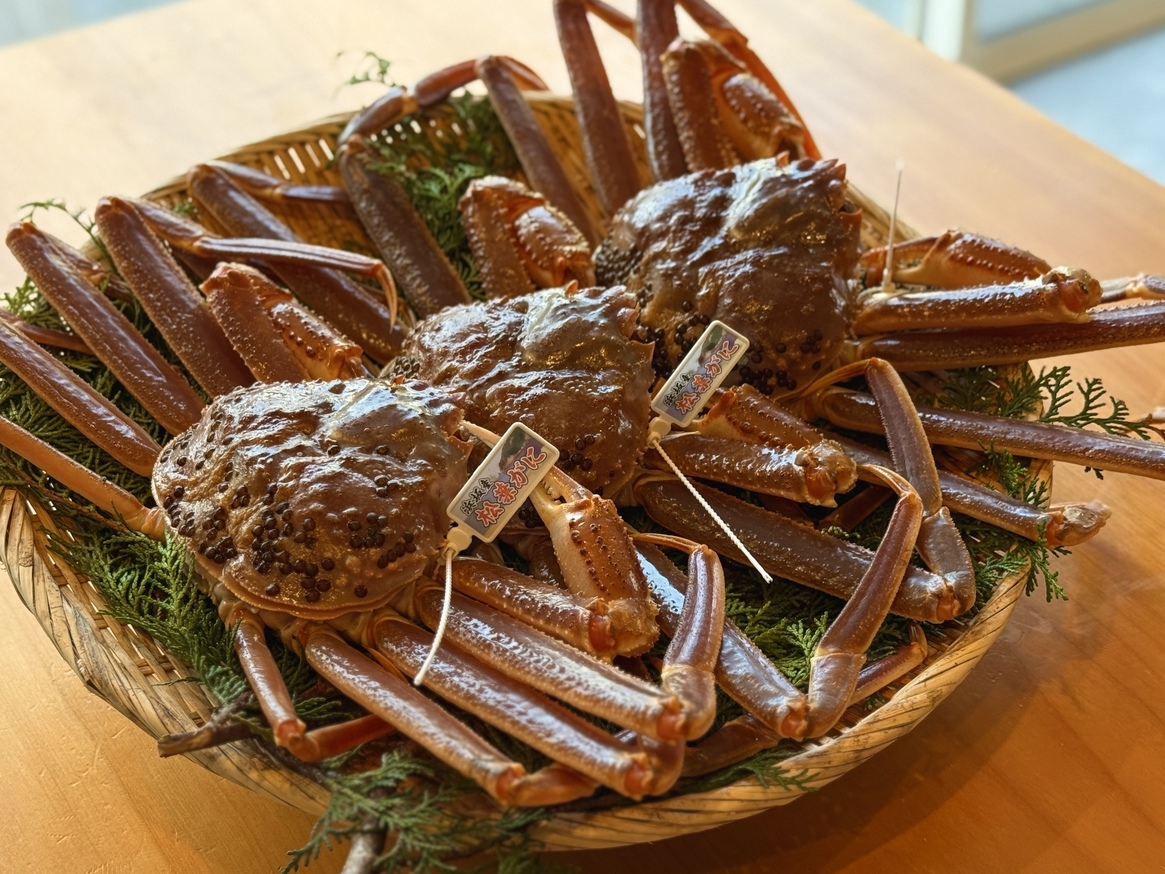 船長厳選！タグ付き活松葉がにフルコース【セルフ朝食付き】