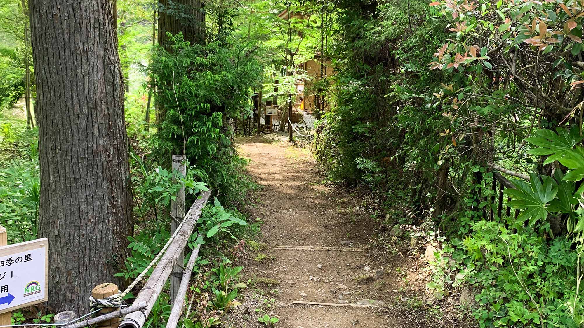 ・【コテージ1・小径】コテージへは森の中を散策しながら&hellip; 森林浴気分でお楽しみいただけます