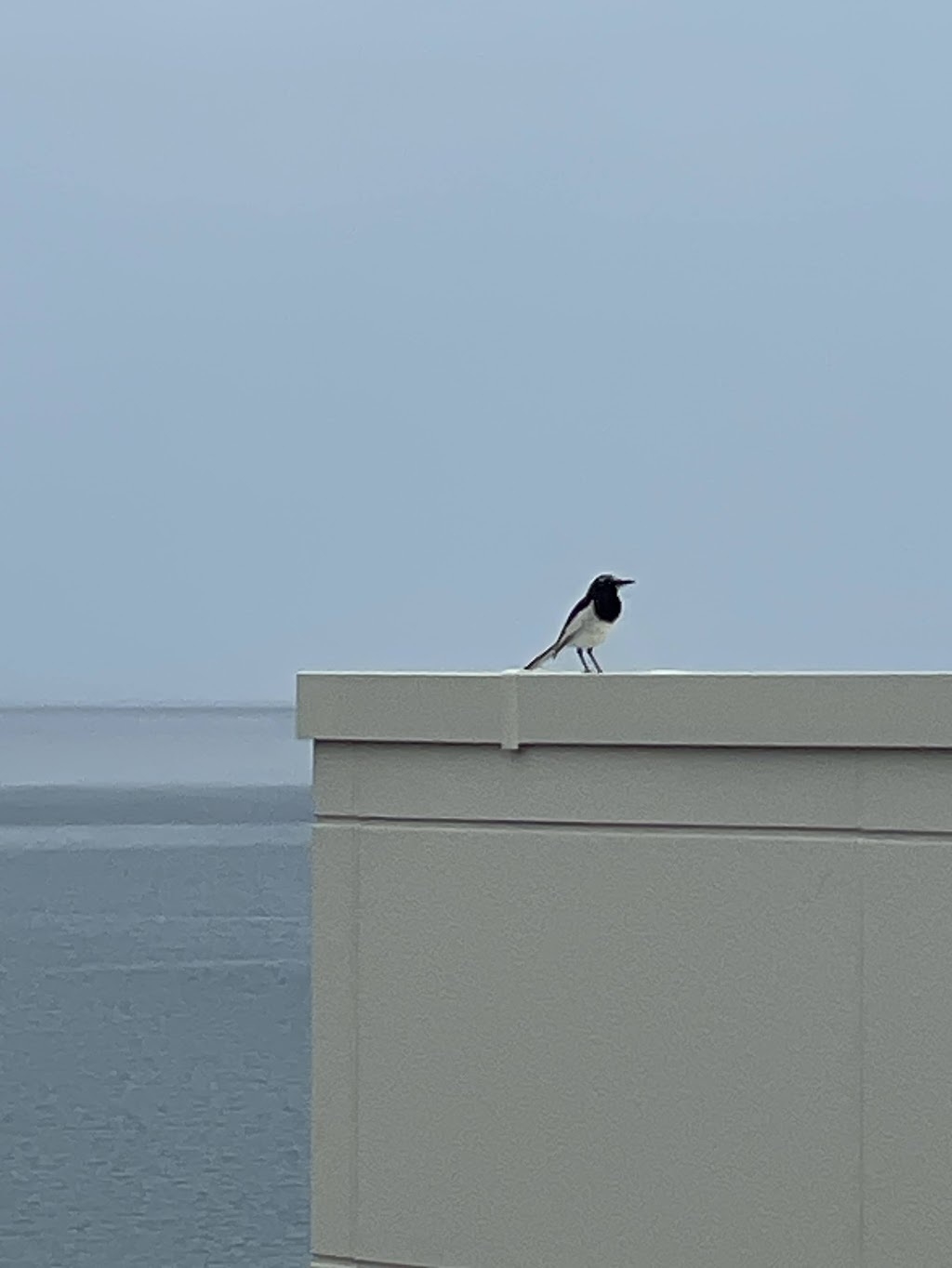 【素泊まりプラン】全室オーシャンビューテラス付き