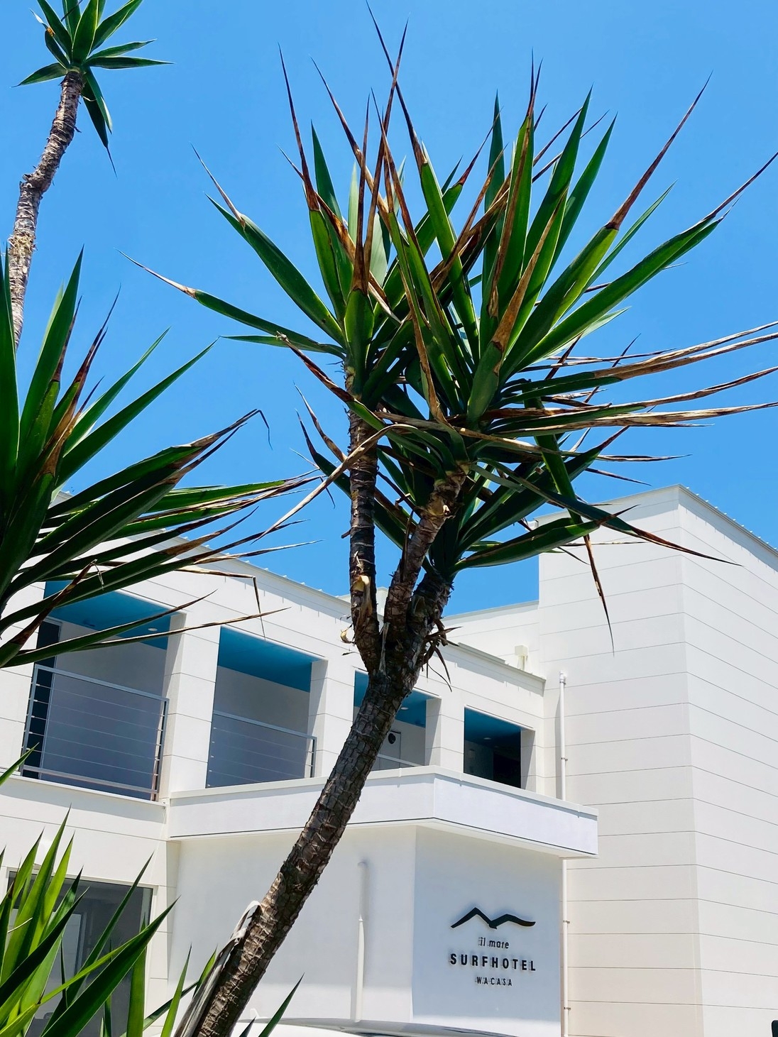 【朝食付きプラン】全室オーシャンビューテラス付き