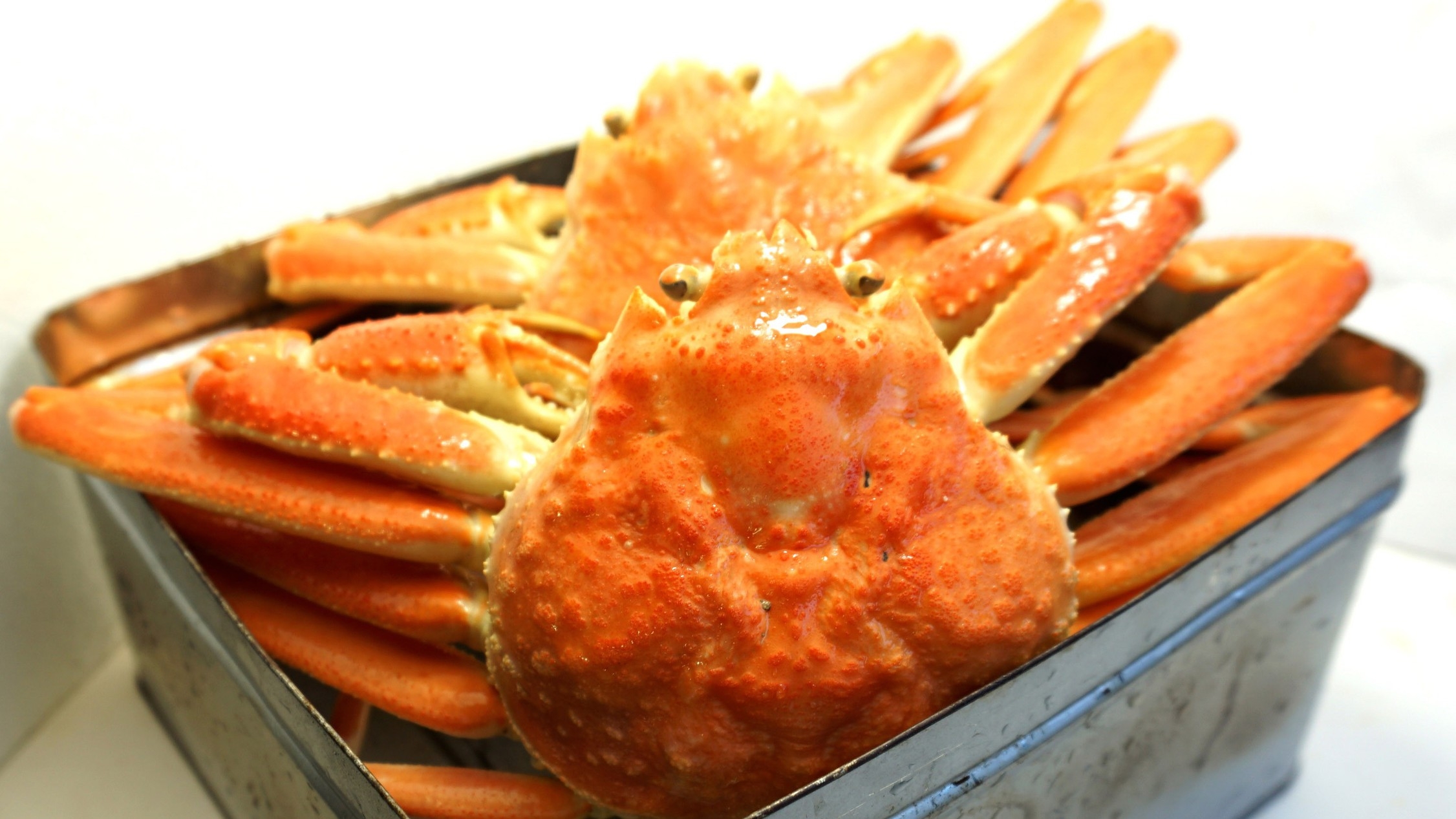 【２泊限定】１日目ふぐ料理イタリアン＋かに一杯丸ごと＆２日目若狭牛イタリアンコース／朝食ビュッフェ