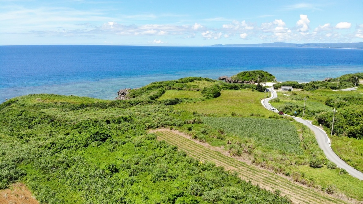 【2階】【素泊まり】海の見える部屋で過ごす、特別な島時間♪お部屋でホエールウォッチング（12~4月）