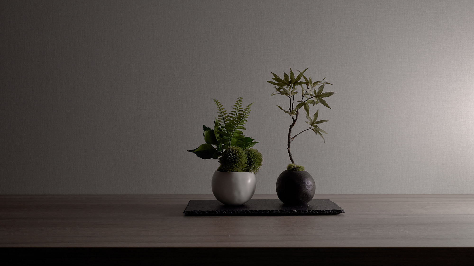 ジュニアスイート