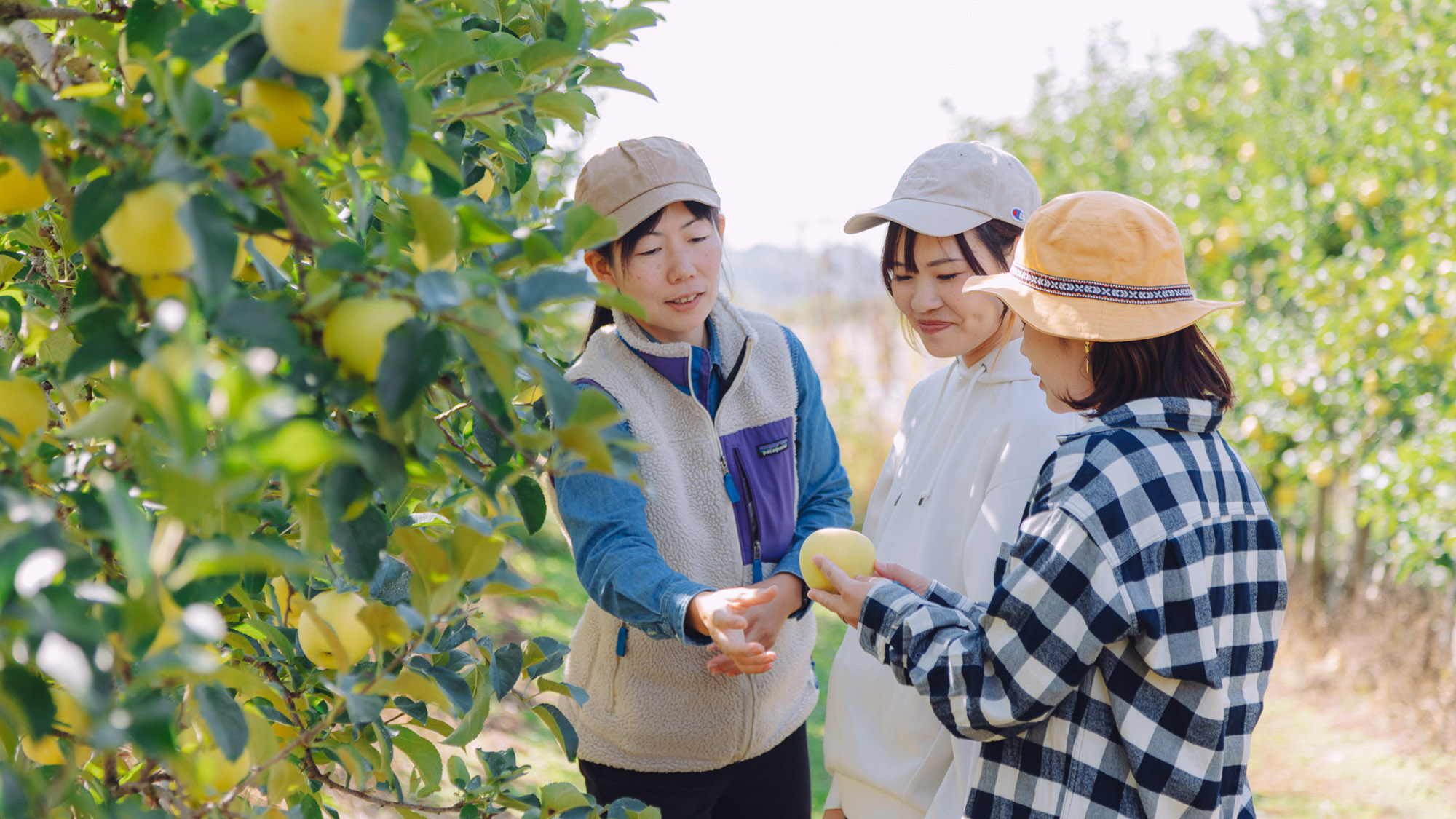 ・【農業体験】時期によって体験の内容は異なります。楽しみながら農業や食について考えてみませんか？