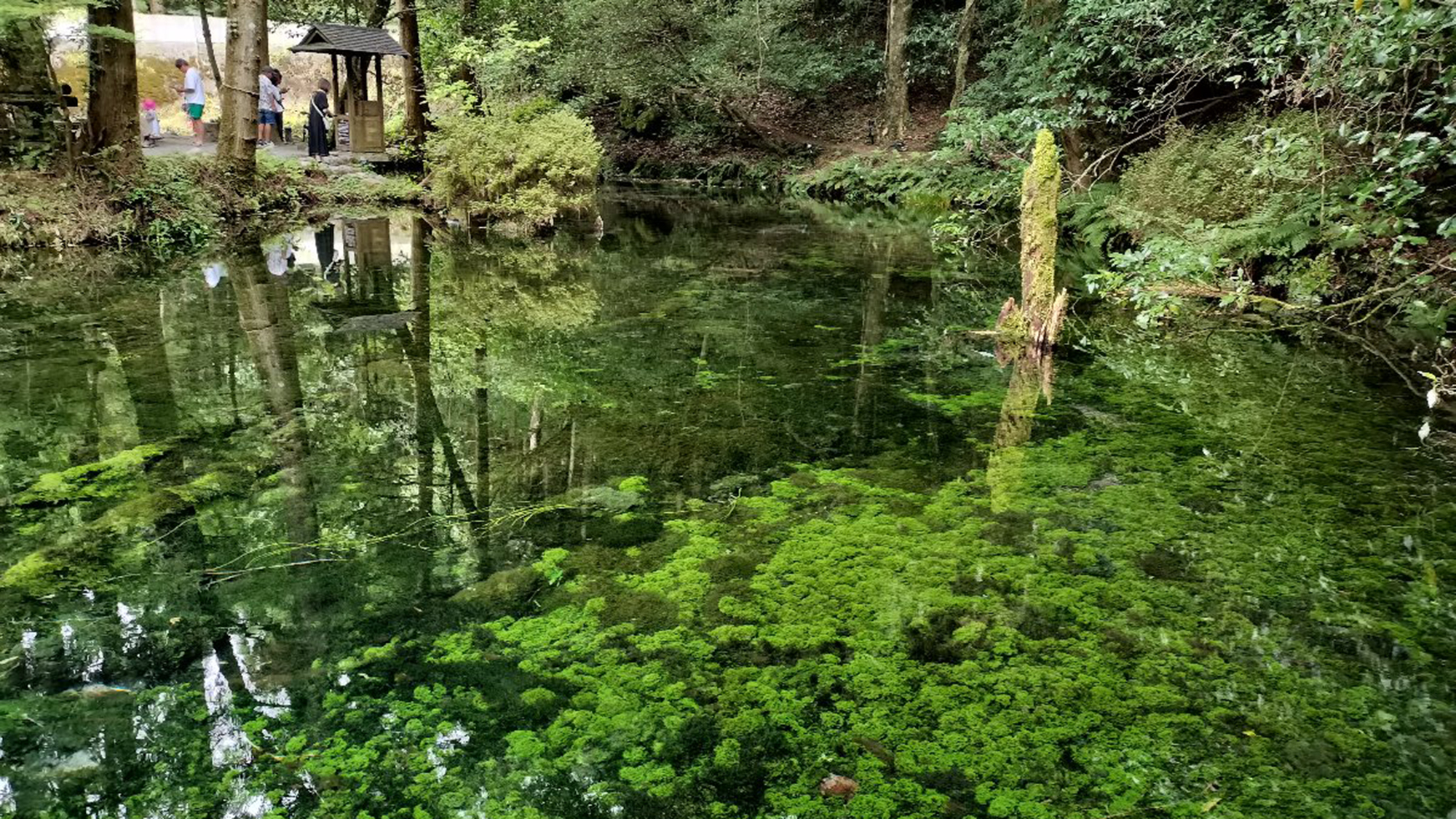 ・【池山水源】