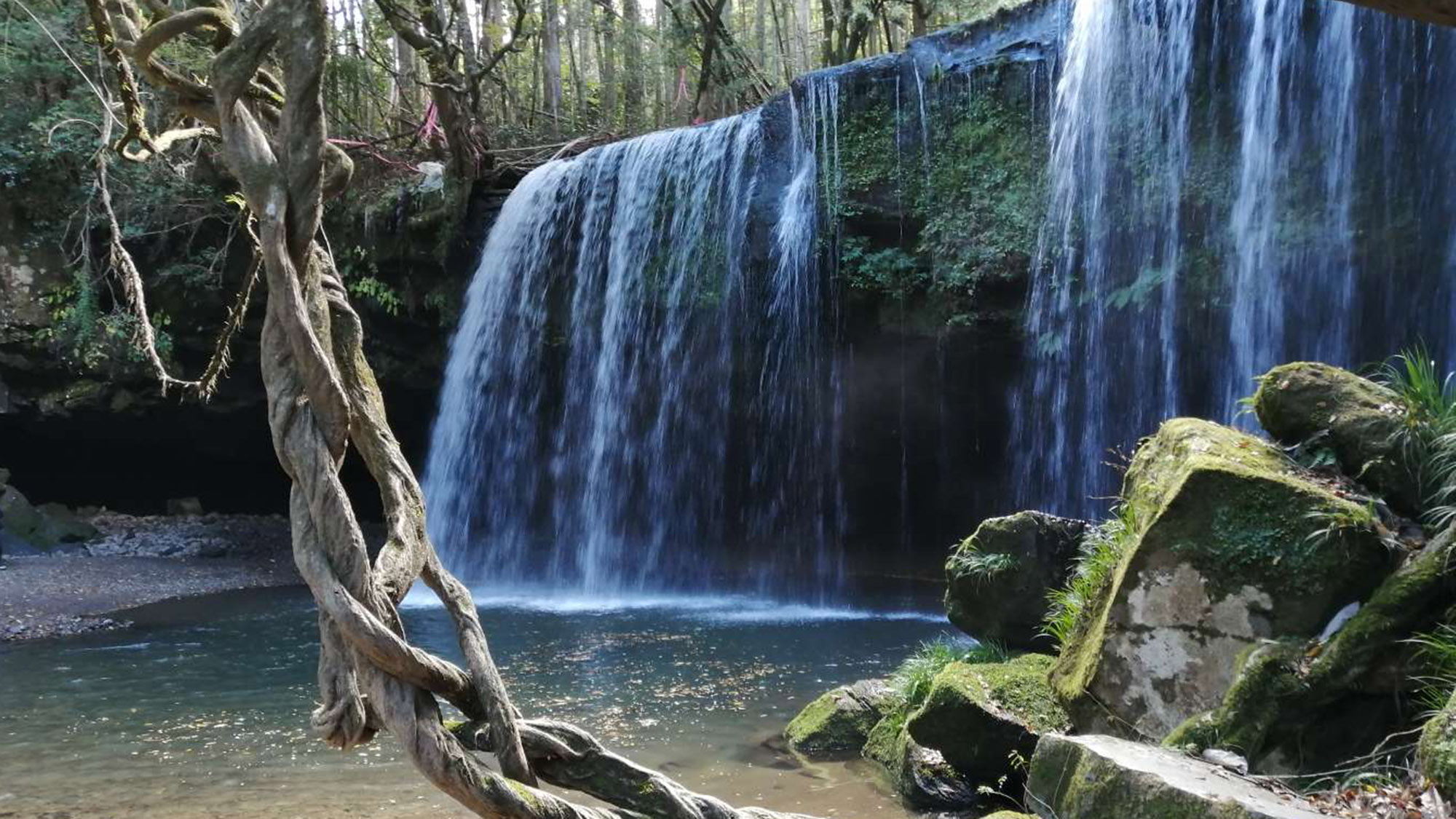 ・【周辺／鍋ヶ滝公園】当施設から車で約20分。お茶のCMのロケ地にもなった人気スポットです