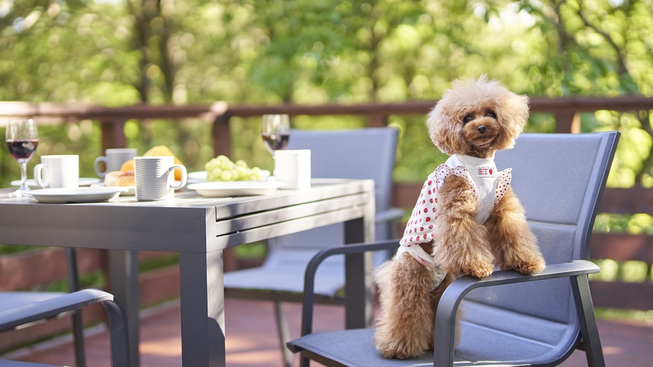 【2泊〜の連泊プラン 最大30％OFF】定員まで料金一律｜食材なし