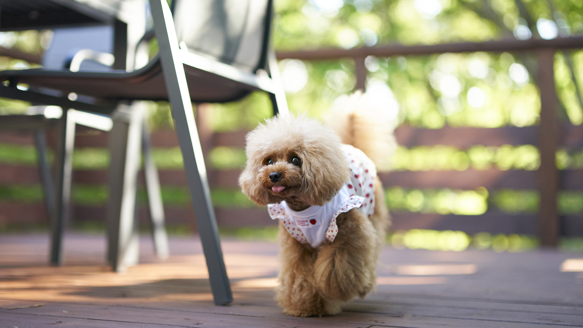 【ペット】中型犬2頭までご同伴いただけます。