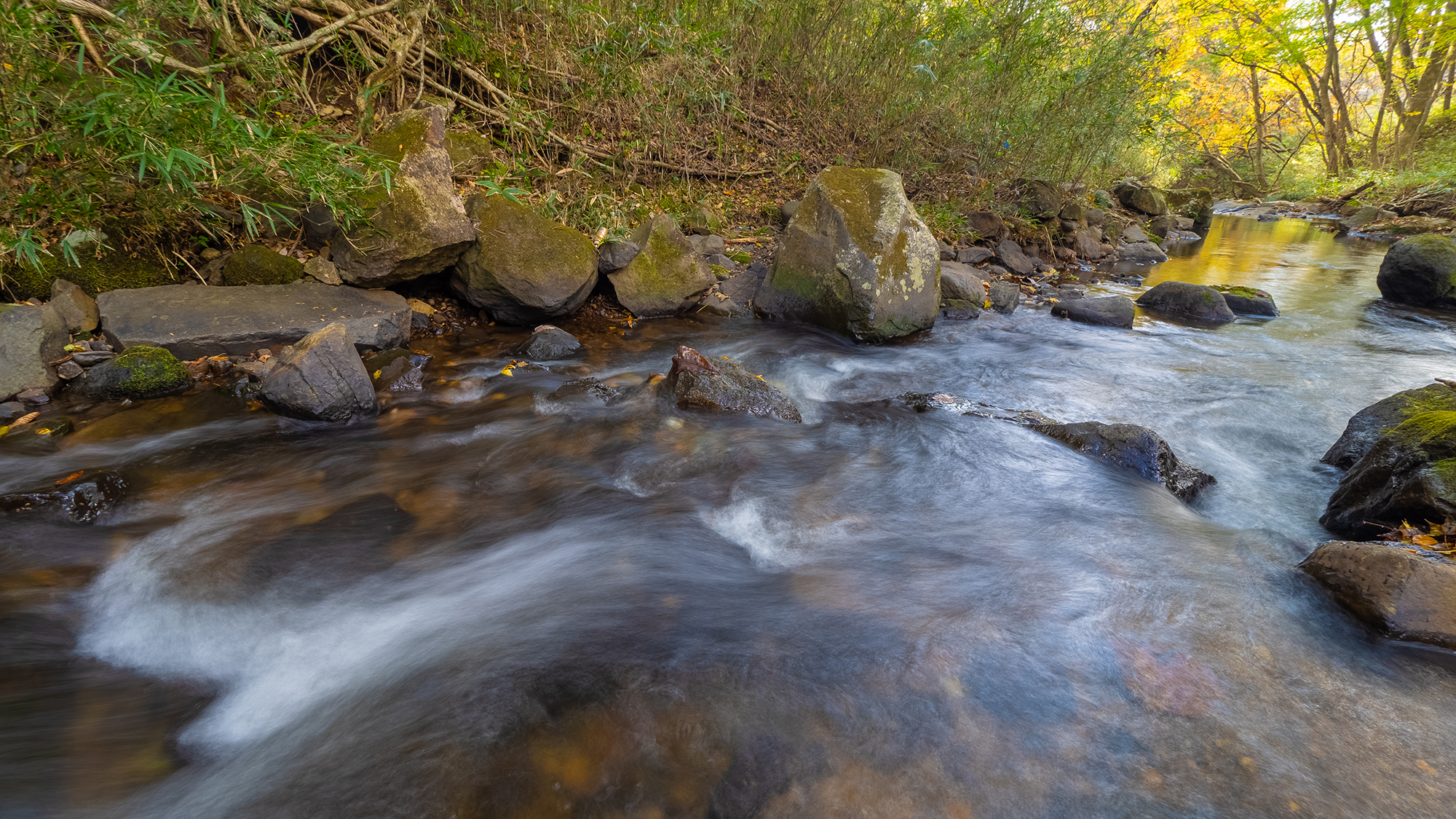 【外観】敷地には川が流れています。