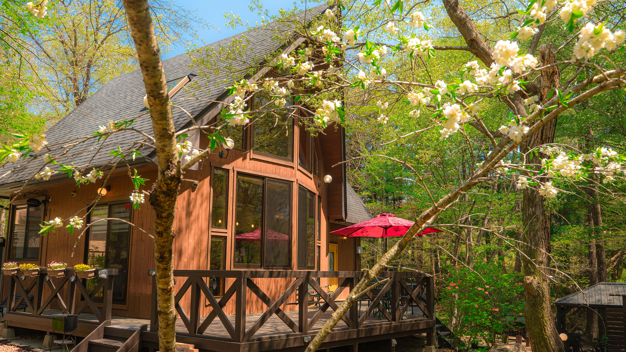 【外観】春は色とりどりの花に囲まれます。