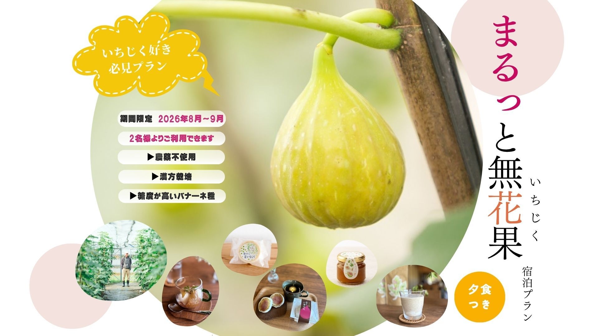 【８〜９月限定！】五感で味わうまるっと無花果（いちじく）宿泊プラン！【夕食付・朝食なし】
