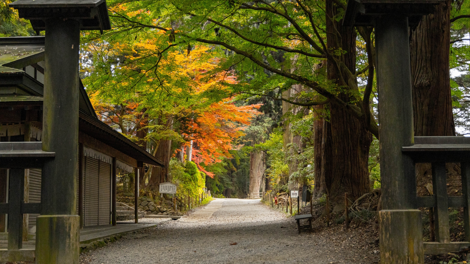 【周辺観光】「中尊寺」新緑から紅葉に映ろう季節。