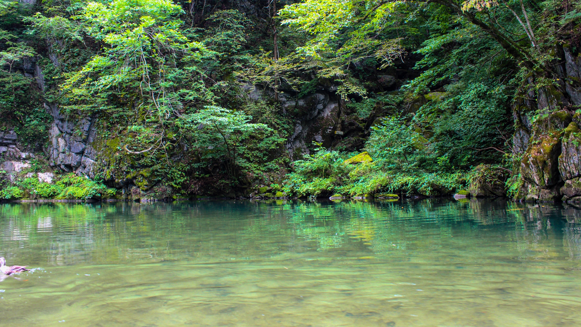 【周辺観光】「猊鼻渓」国の史蹟名勝天然記念物で、日本百景のひとつに数えられています。