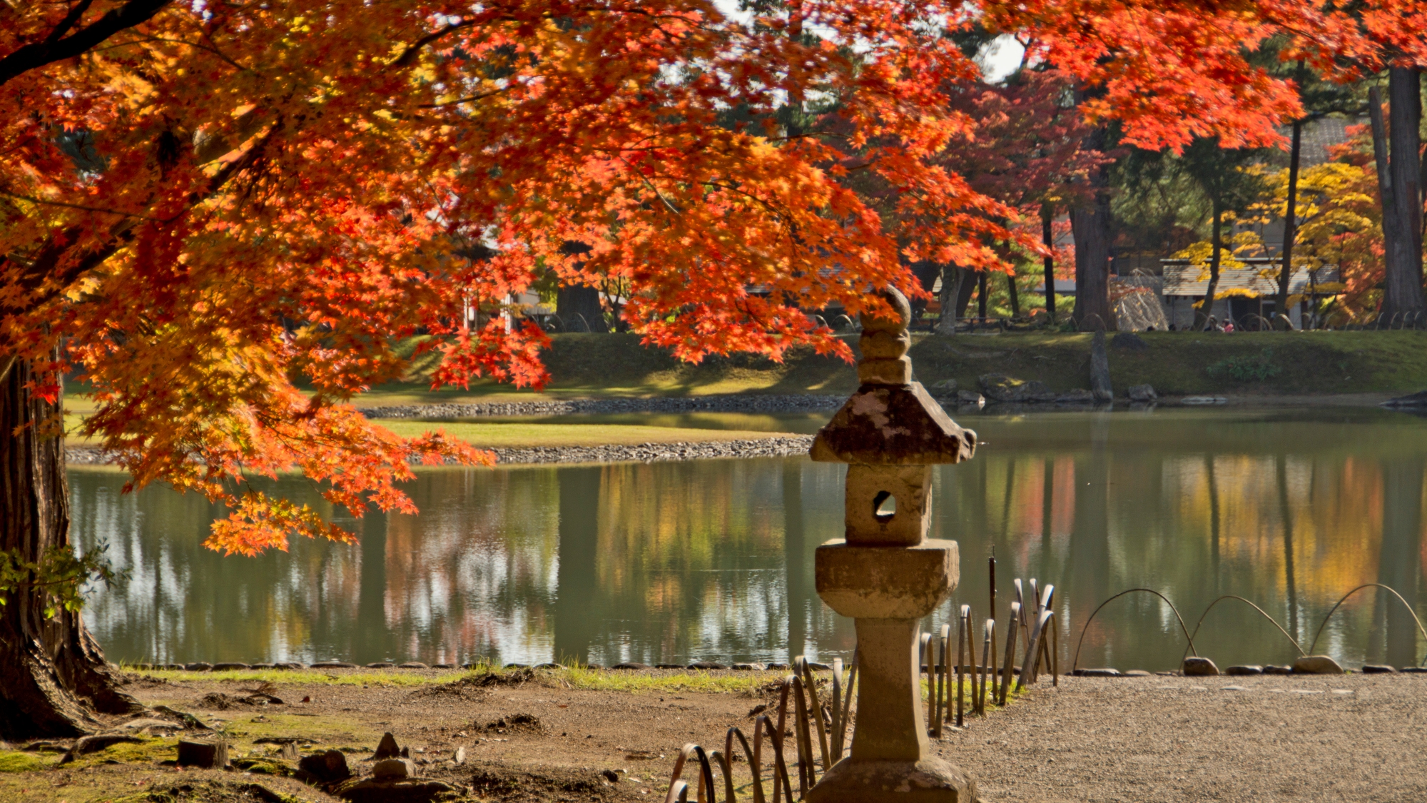 【周辺観光】「毛越寺」紅葉の見頃は、例年10月下旬～11月上旬です