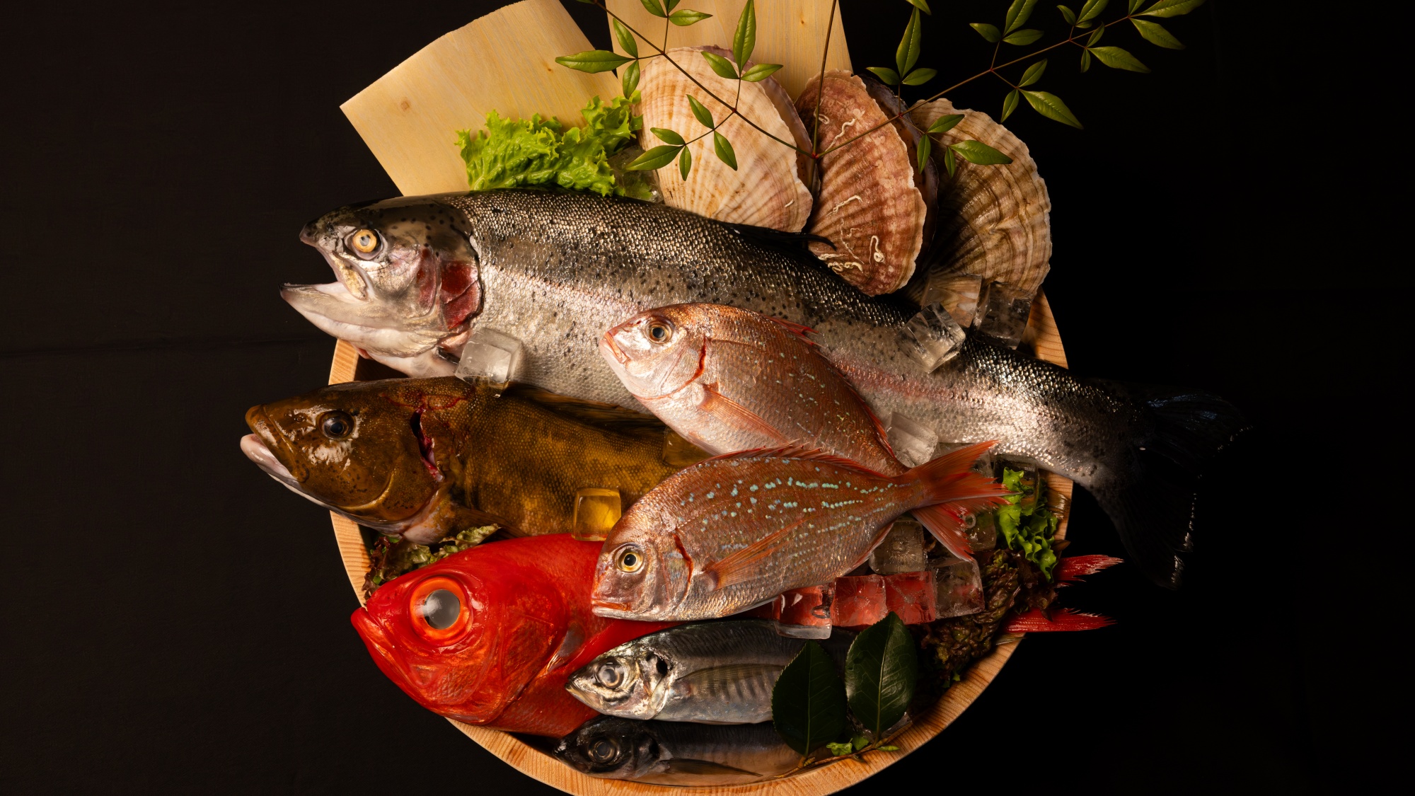 【ご夕食】世界三大漁業・三陸沖で育った新鮮な魚介類をお楽しみください。※画像はイメージです。