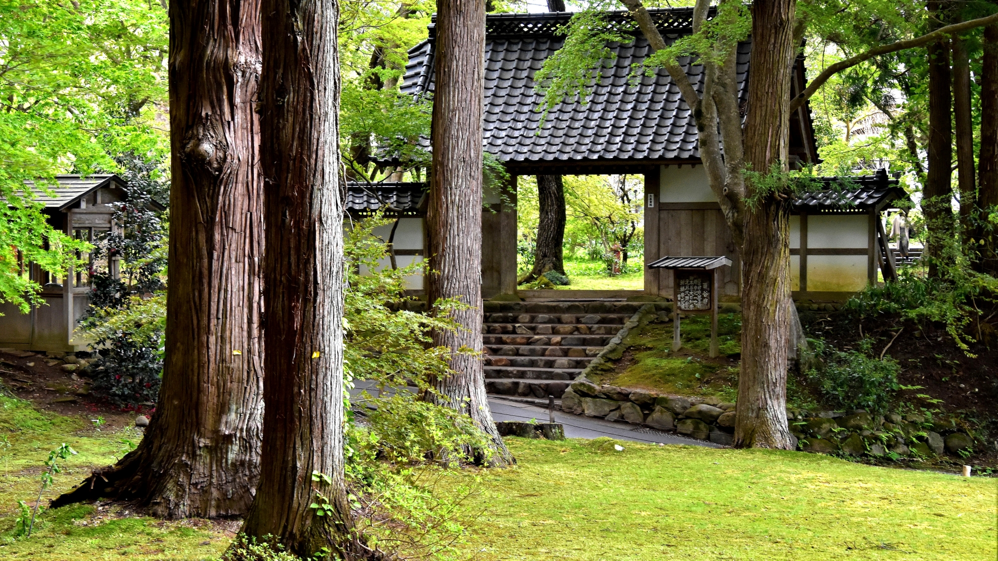 【周辺観光】「中尊寺 大長寿院」境内の奥には、天然記念物指定のモミの木や百日紅もございます。