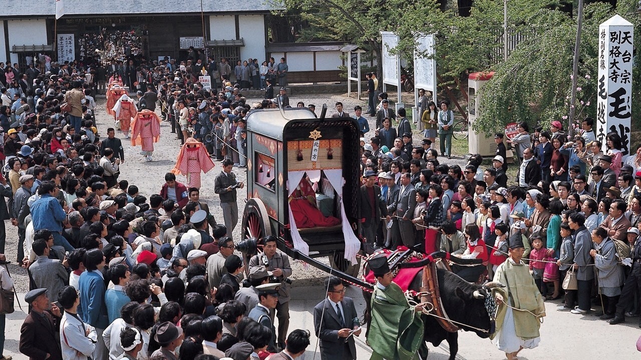 【周辺観光】「春の藤原まつり」約100人の武者行列が進む圧巻の光景。