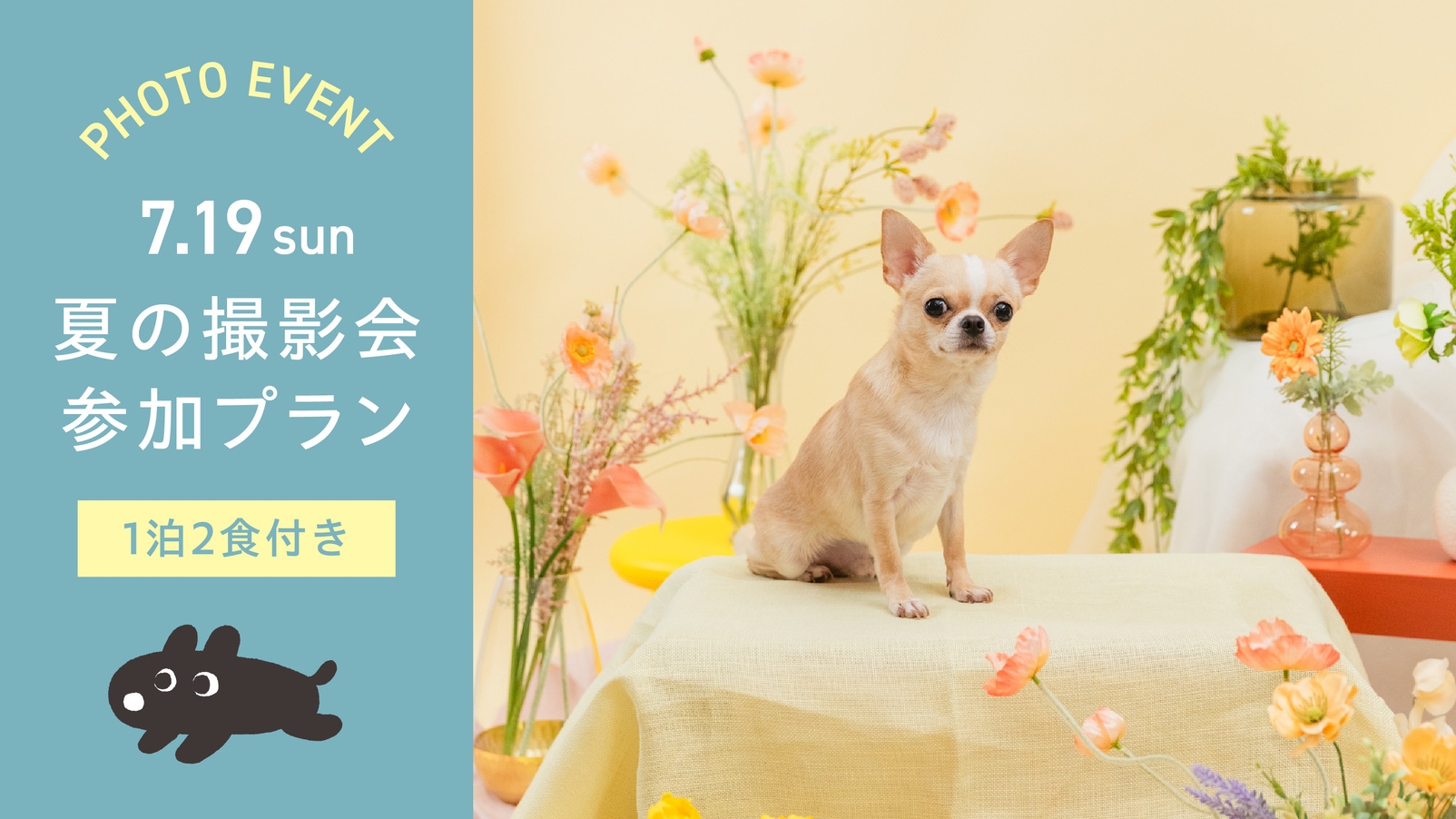 【7/18・19宿泊限定｜1泊2食】愛犬との記念日に｜プロカメラマン撮影付　夏のフォトプラン