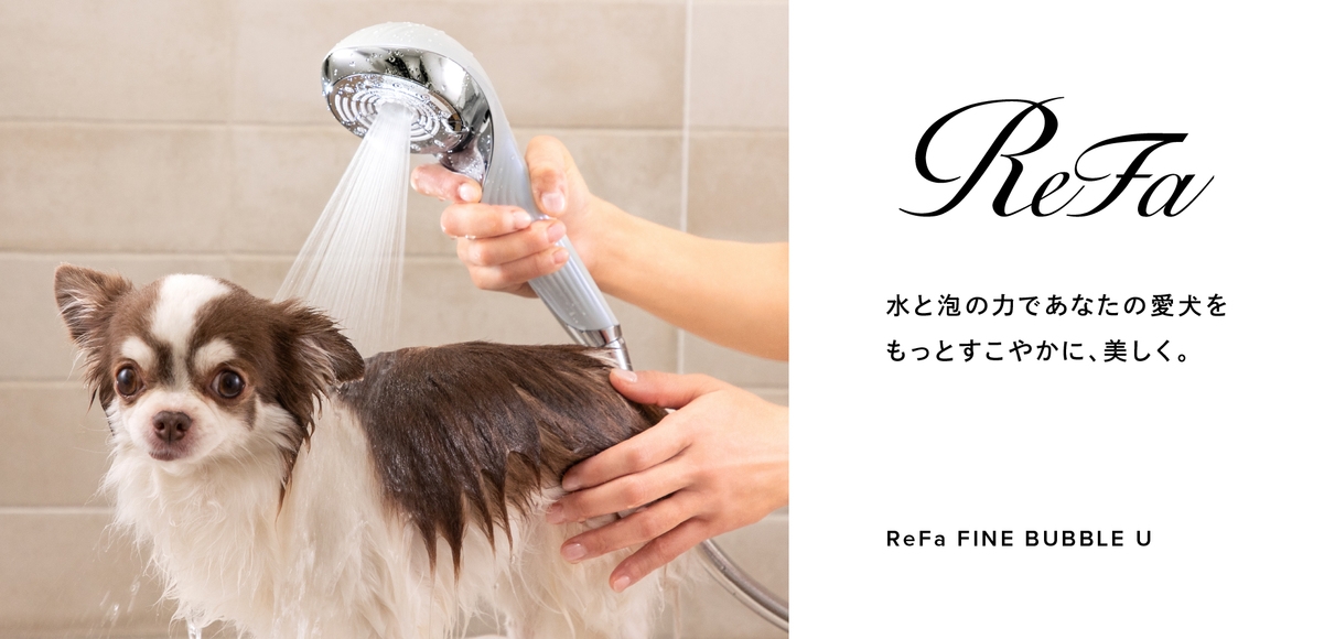 【素泊まり・ReFa体験】室内ドッグランで、愛犬とシンプルステイプラン（2頭まで無料）