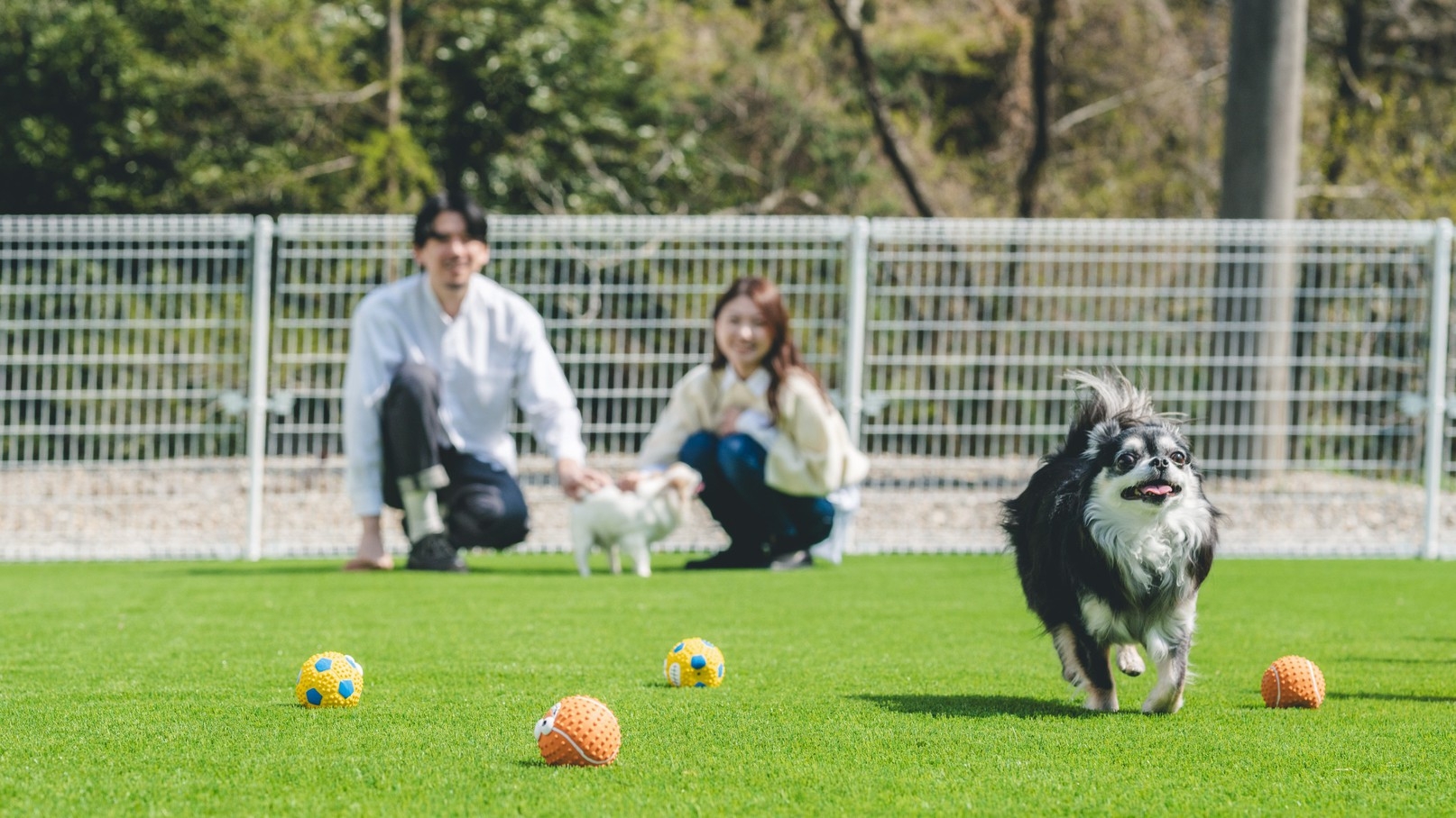 【素泊り】愛犬とのんびり過ごす旅☆自然豊で家族もたのしい　