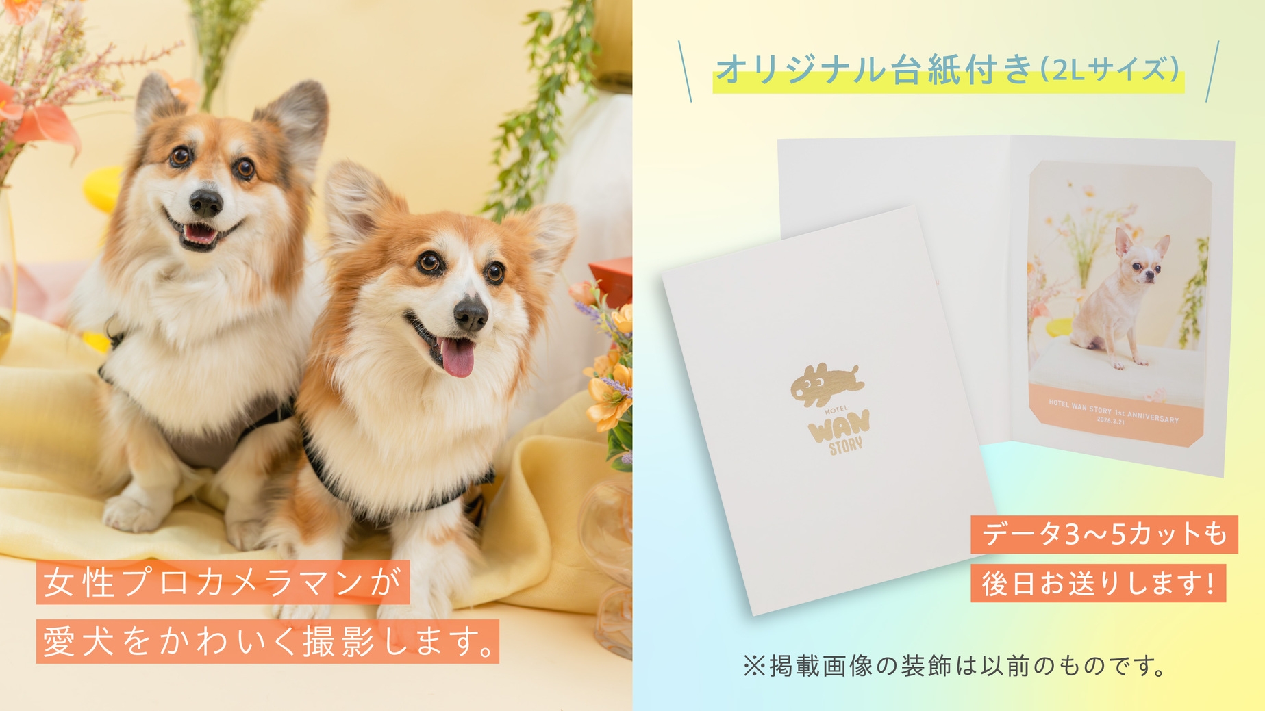 【7/18・19宿泊限定｜1泊2食】愛犬との記念日に｜プロカメラマン撮影付　夏のフォトプラン