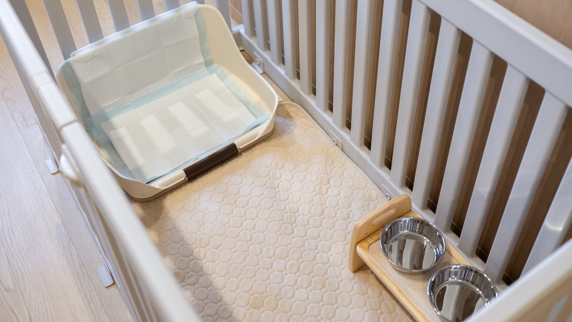 【素泊まり】愛犬とのんびりシンプルステイプラン（2頭まで無料）