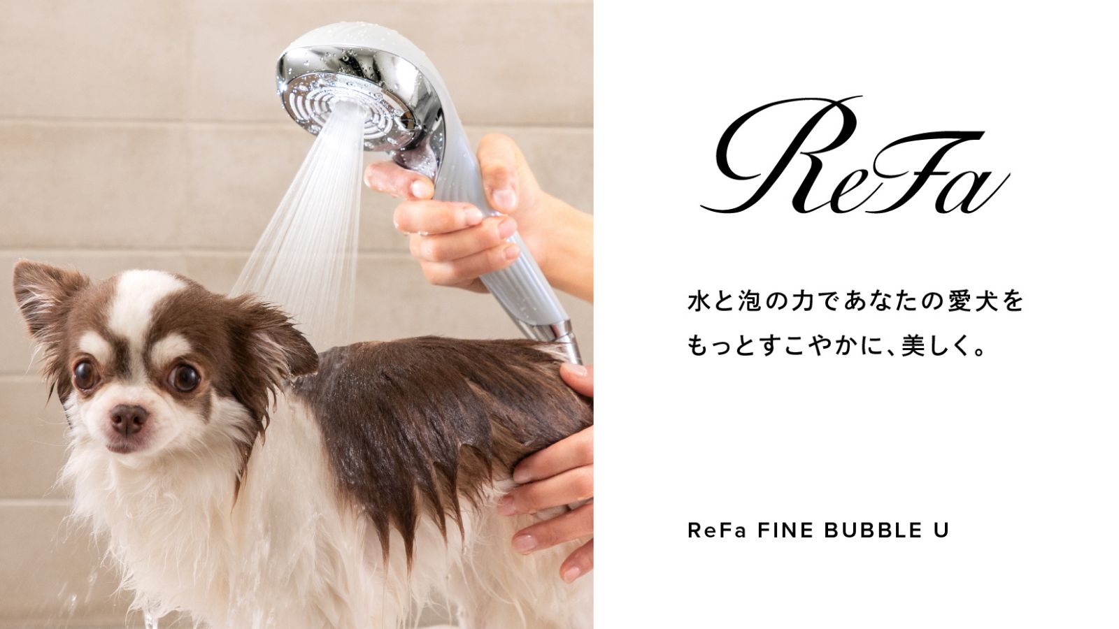 ReFa
