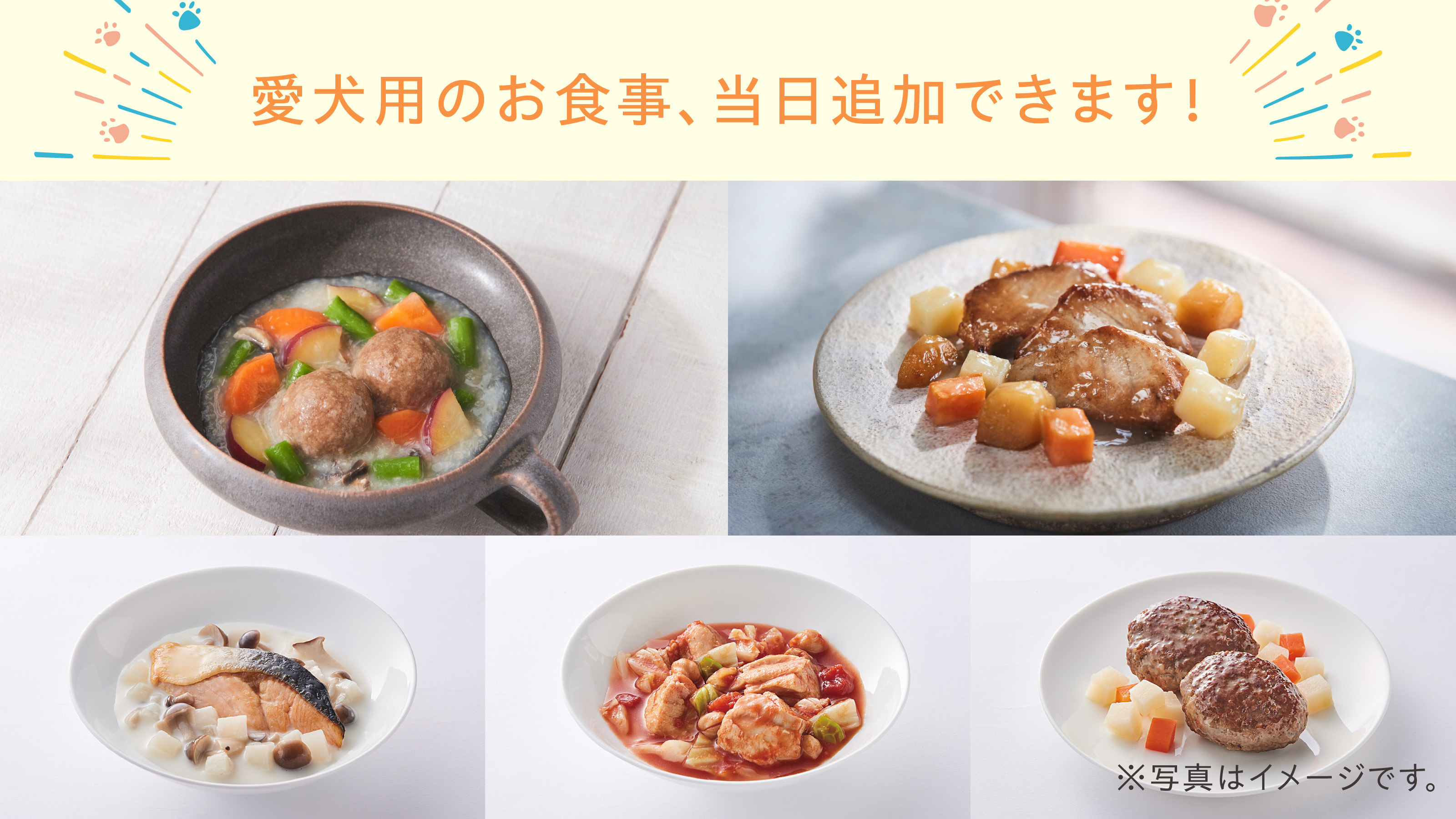 わんちゃんのお食事