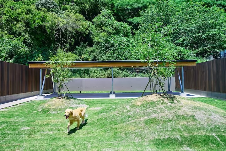 愛犬と一緒に！大型犬OK！ドッグラン有り・プールサウナ付き別荘 B棟4