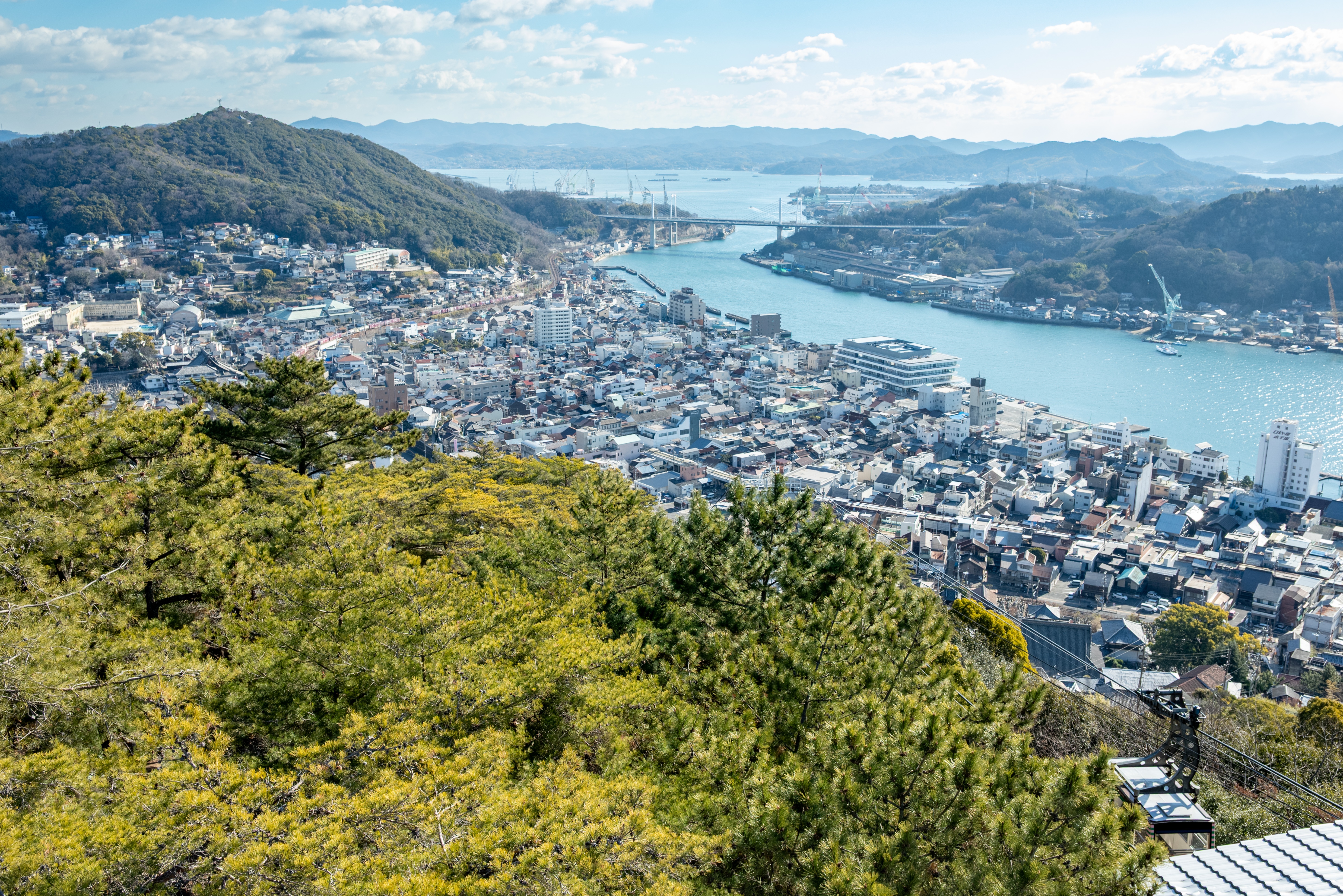 周辺観光：千光寺公園